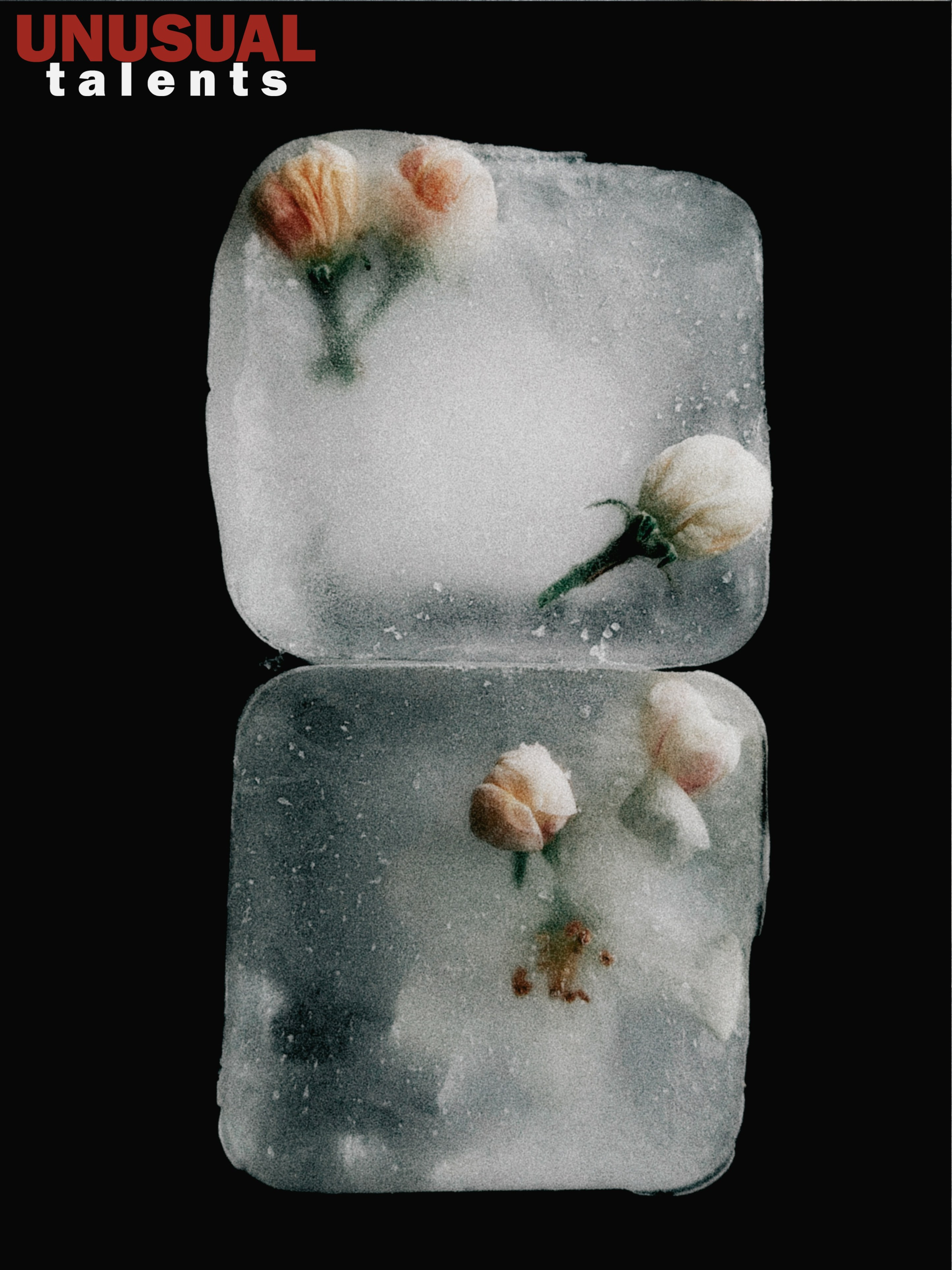 Maria Stankevich. UNUSUAL TALENT magazine