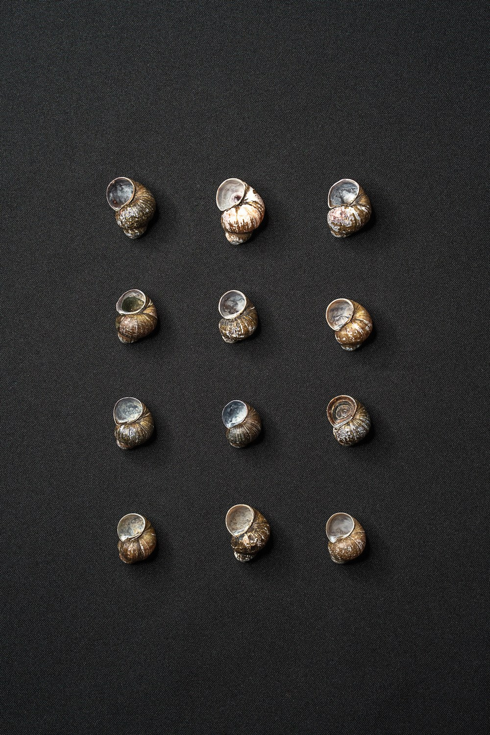 Buy prints. Vasily Pindyurin visual artist