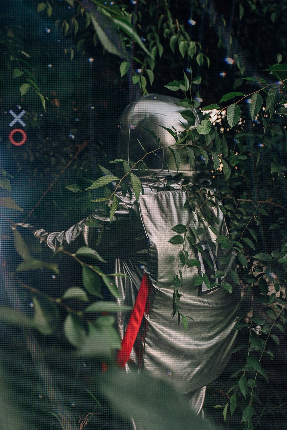 Buy prints. Vasily Pindyurin visual artist