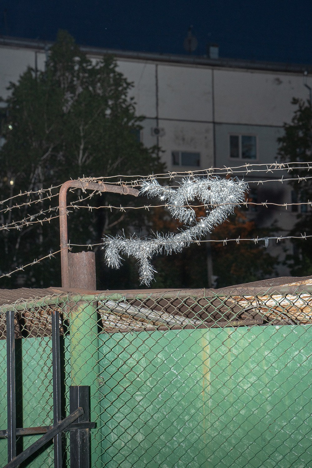 Buy prints. Vasily Pindyurin visual artist