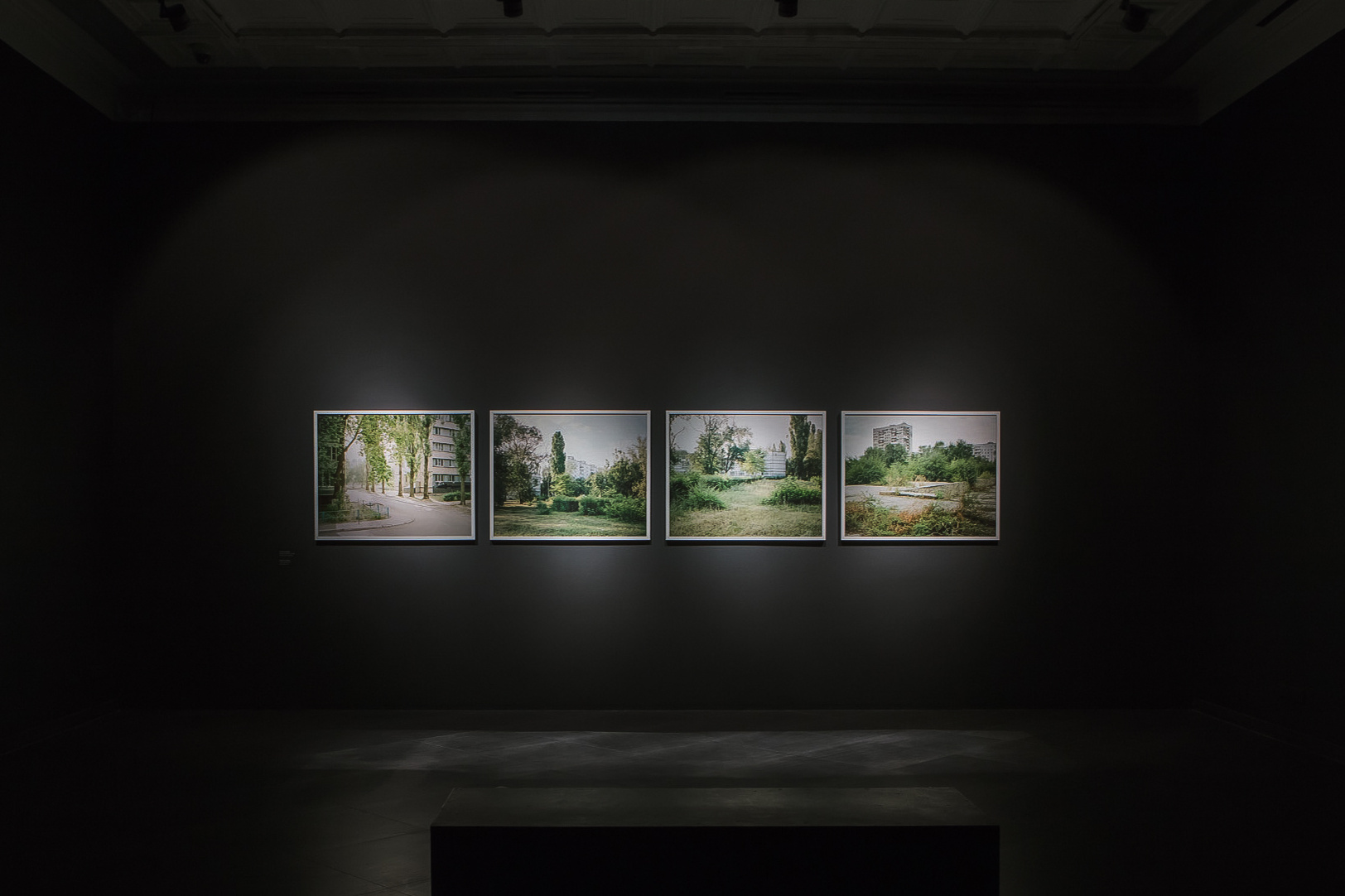 Arcadia. Anastasia Tsayder