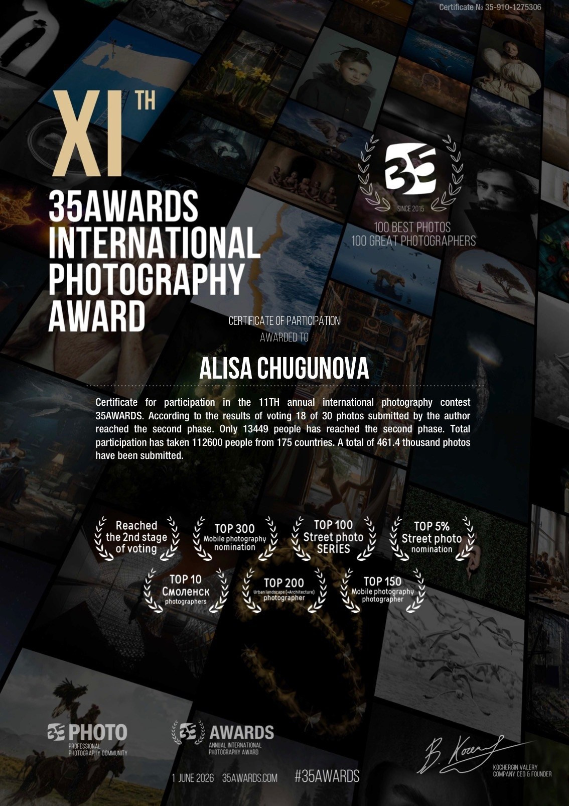 Итоги 11й фотопремии 35 AWARDS. Алиса Чугунова. Художественная фотография