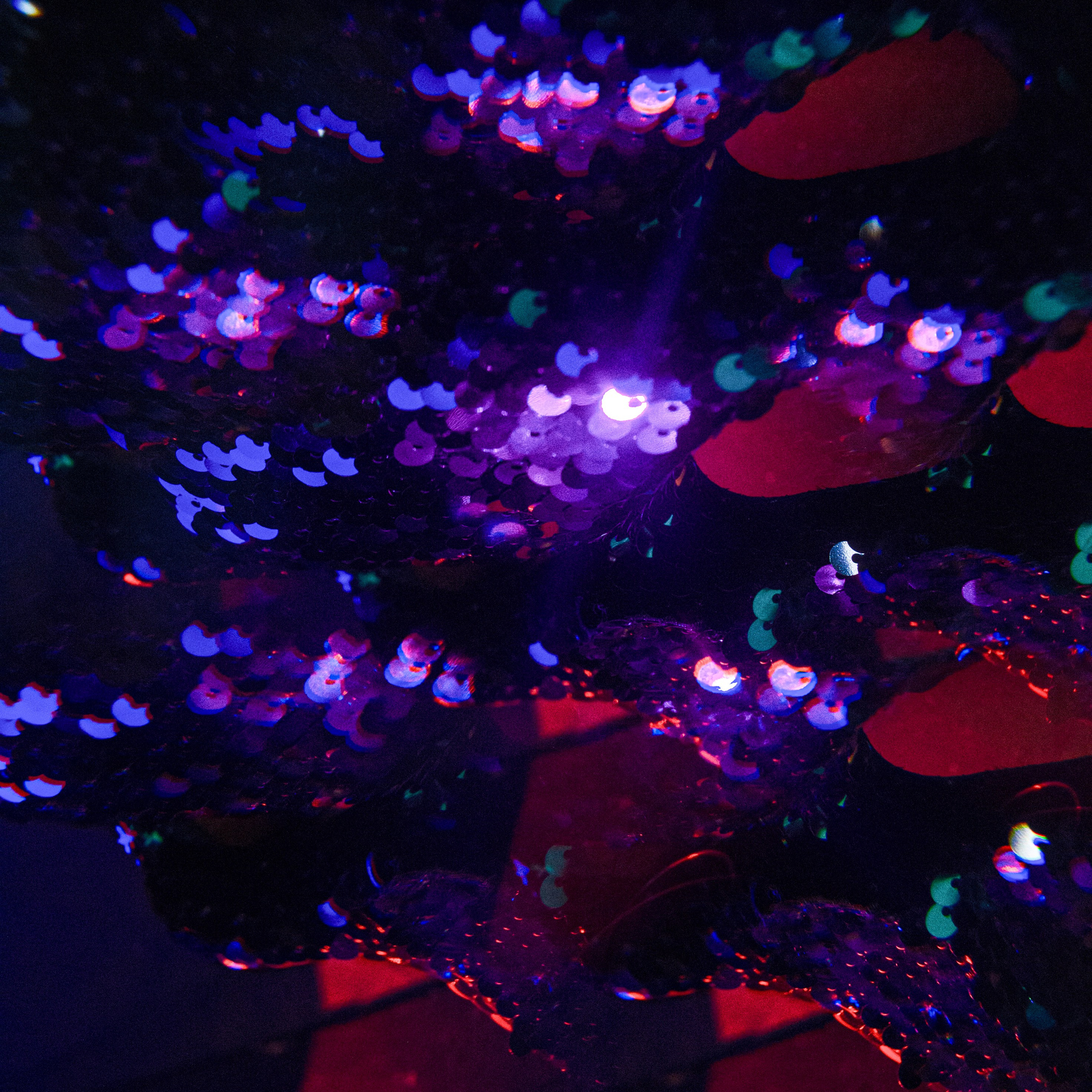 THE RAW LIGHT. Yulia Yurchevskaya | Art Director & Visual Visionary