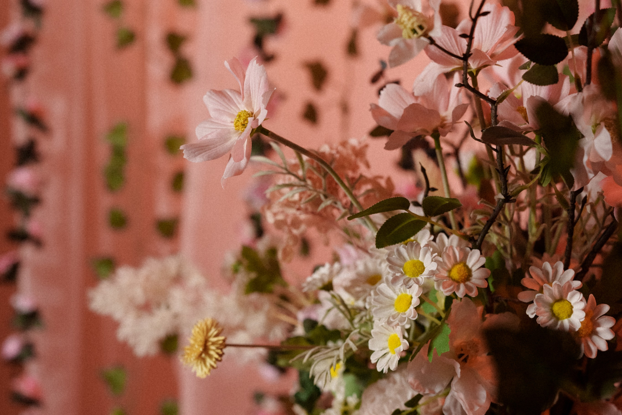 Фотостудия CHIC Рязань