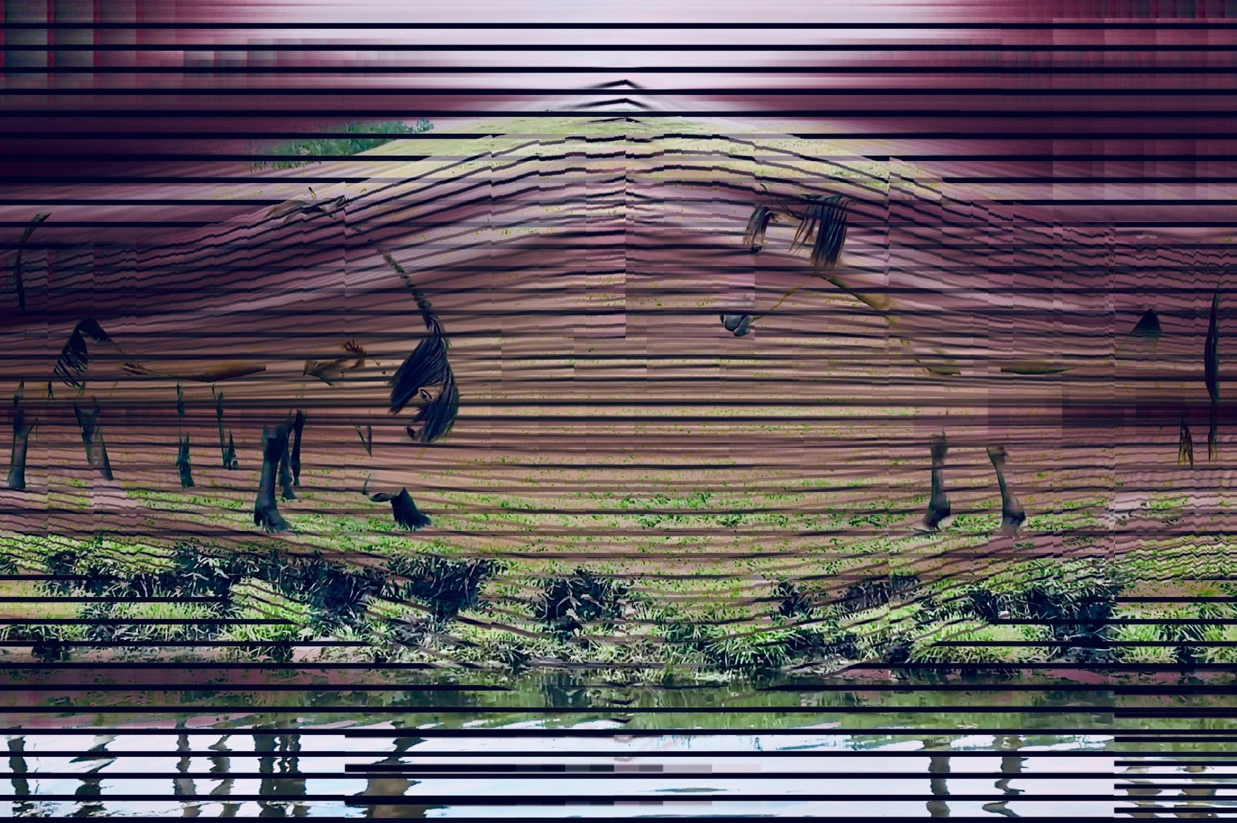 Серия арт композиций, метафора на традиционный башкирский рушник, вышивка орнаментов и узоров. MEMORY in NATURE | digital art gallery