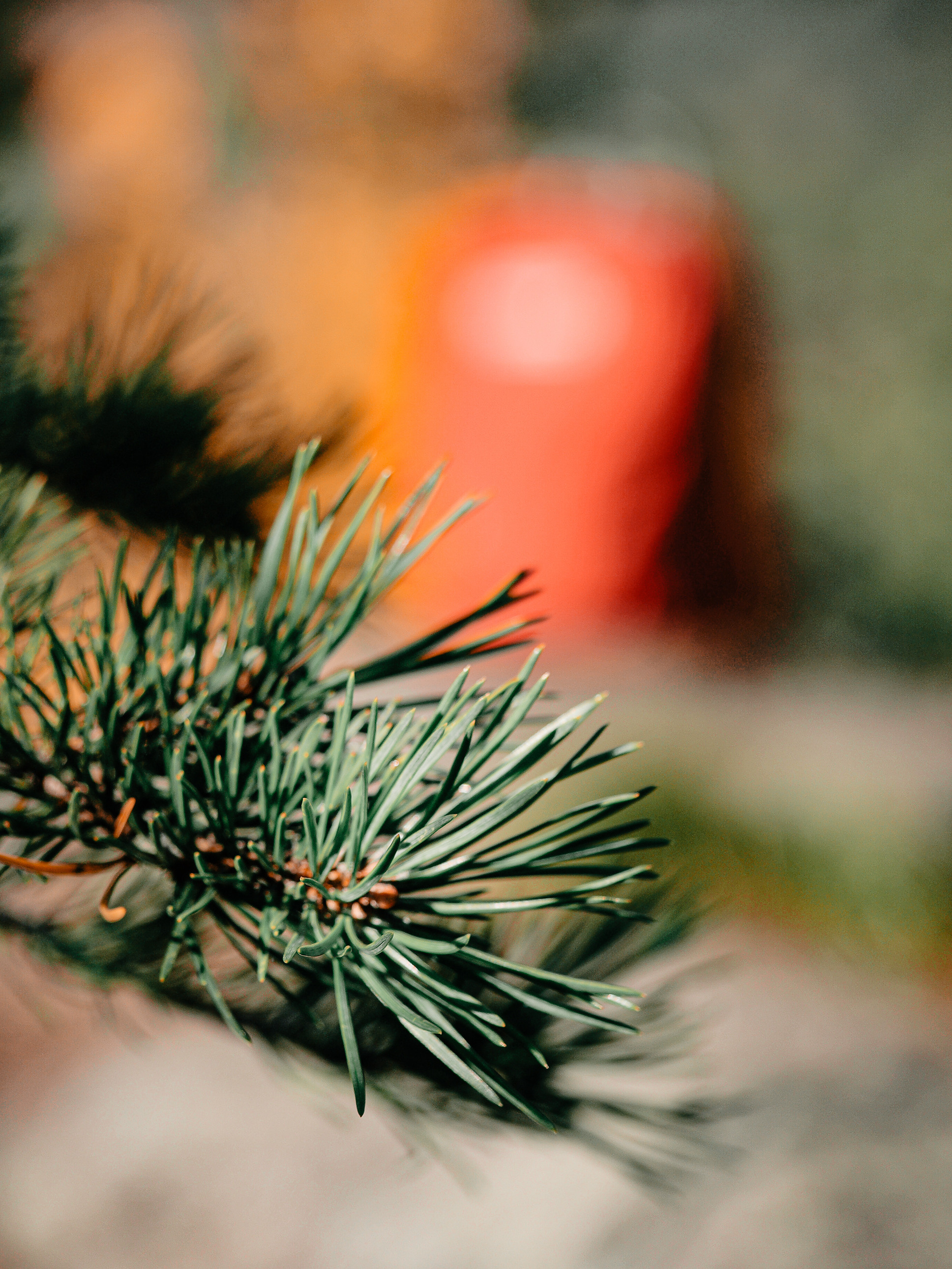 Белое море. Женя Красовская | Портретный фотограф | Визуал для брендов