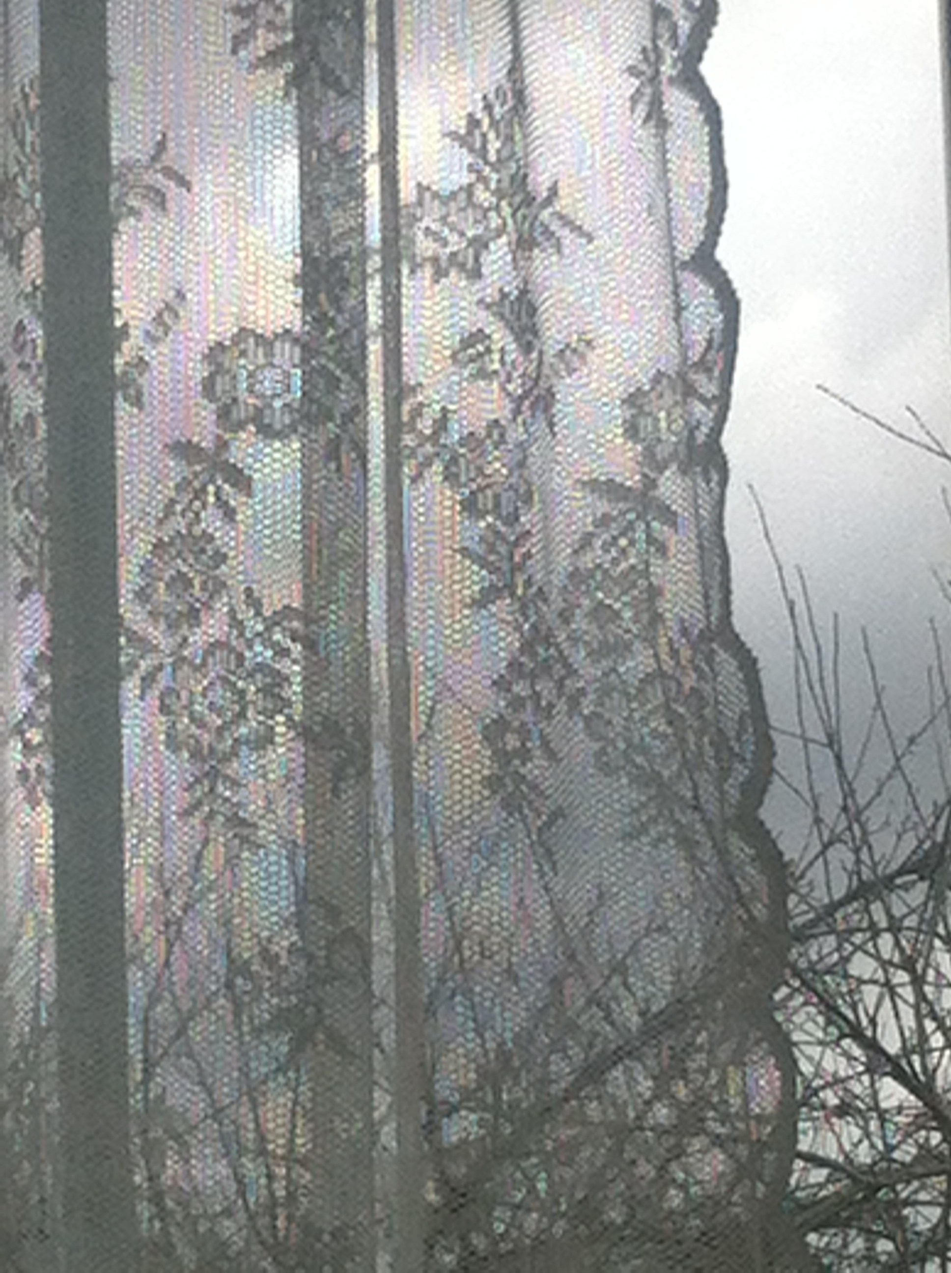 Художник. Фотограф