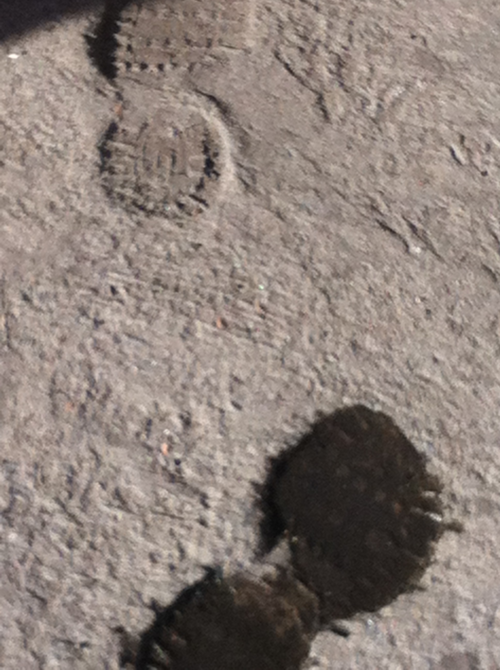 Художник. Фотограф