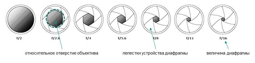 Занятие № 2. FOTOFAQ SKOOL г. Санкт-Петербург: очные, дистанционные и онлайн курсы фотографии