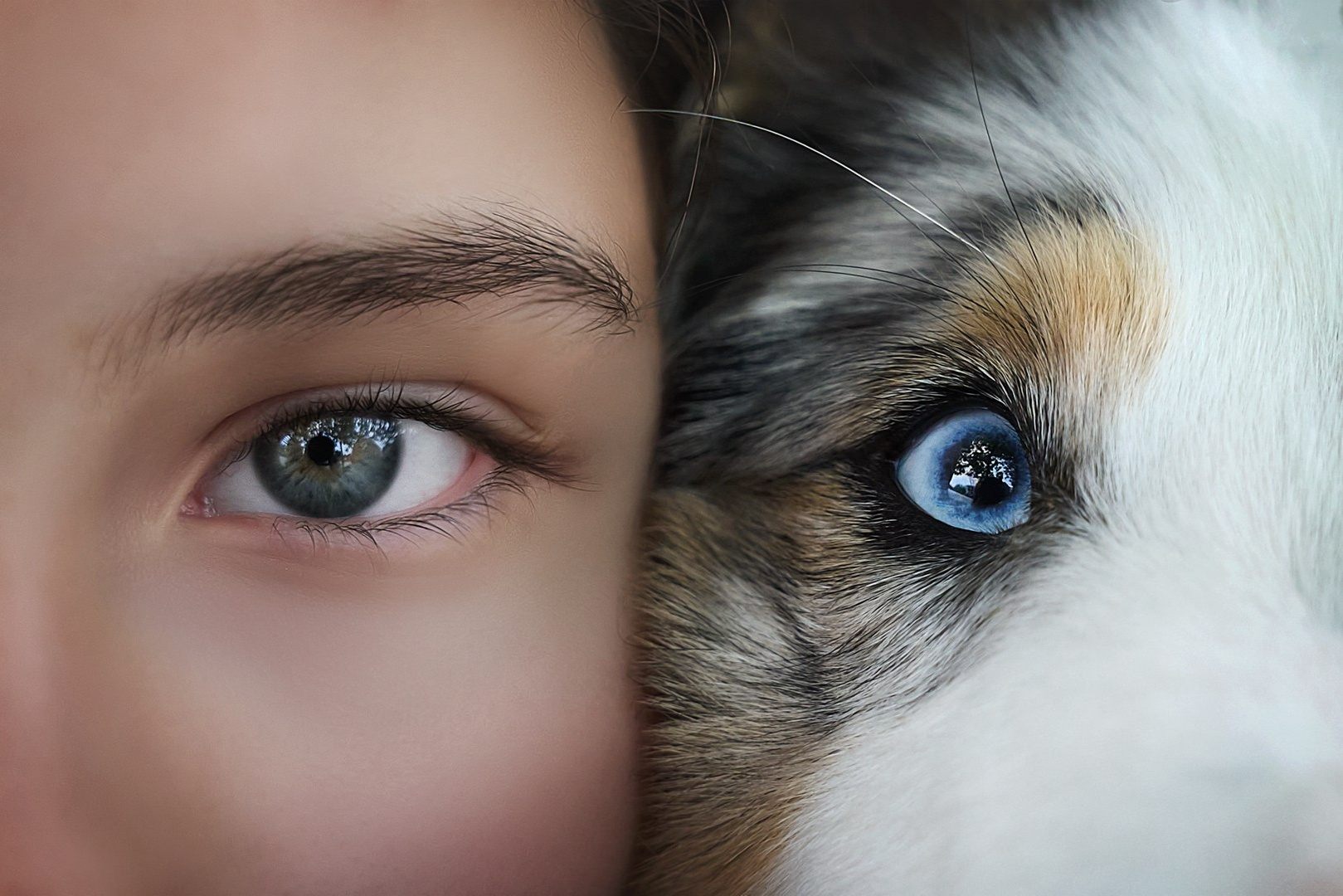 Фотограф видеограф анималист в Иркутске Екатерина Протасова