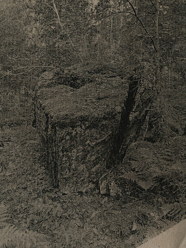 Arrive without leaving. Vika Bykovskaya photography