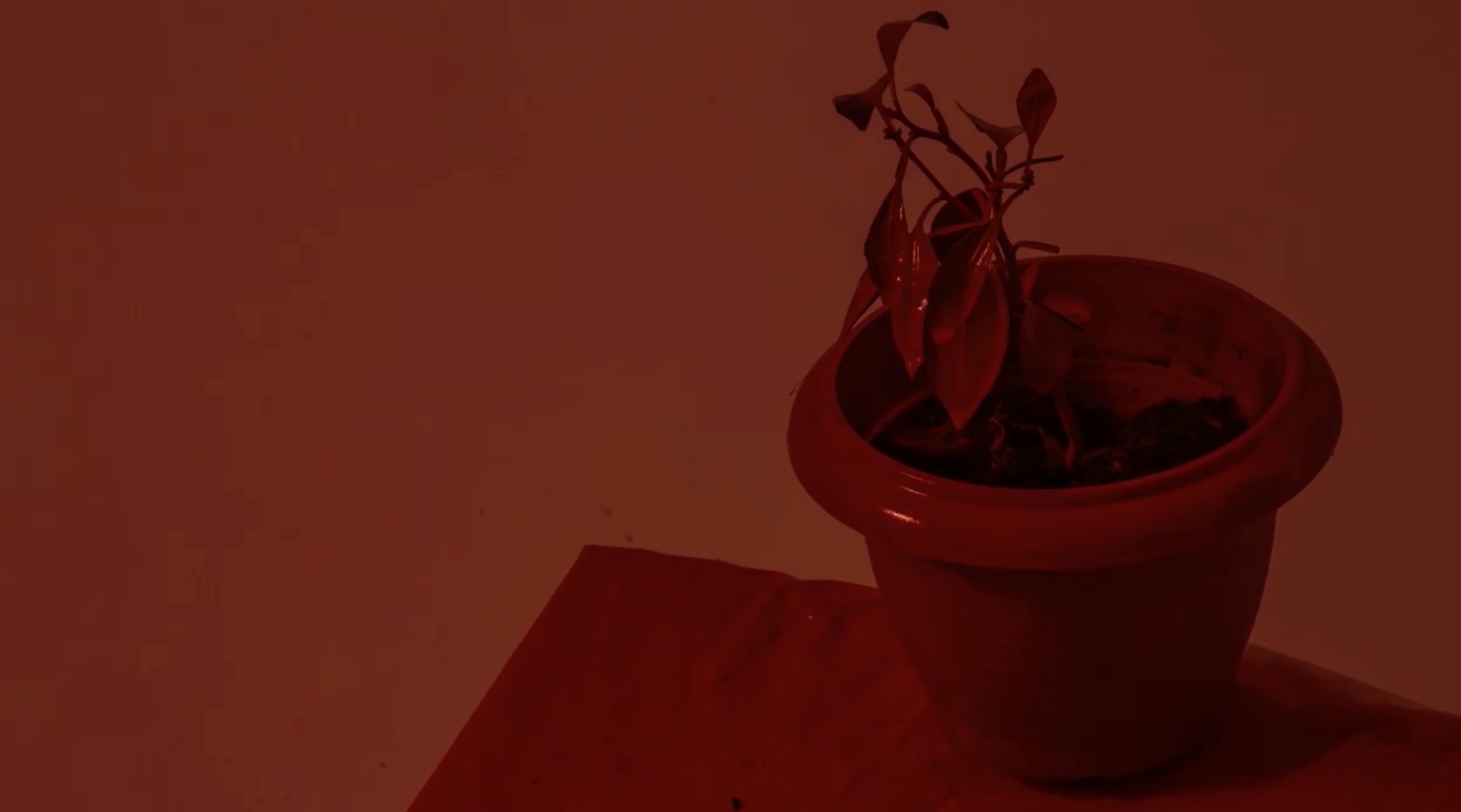 Hiljaisuuden maa/The Land of Silence, 2023. Kaati Puolakainen