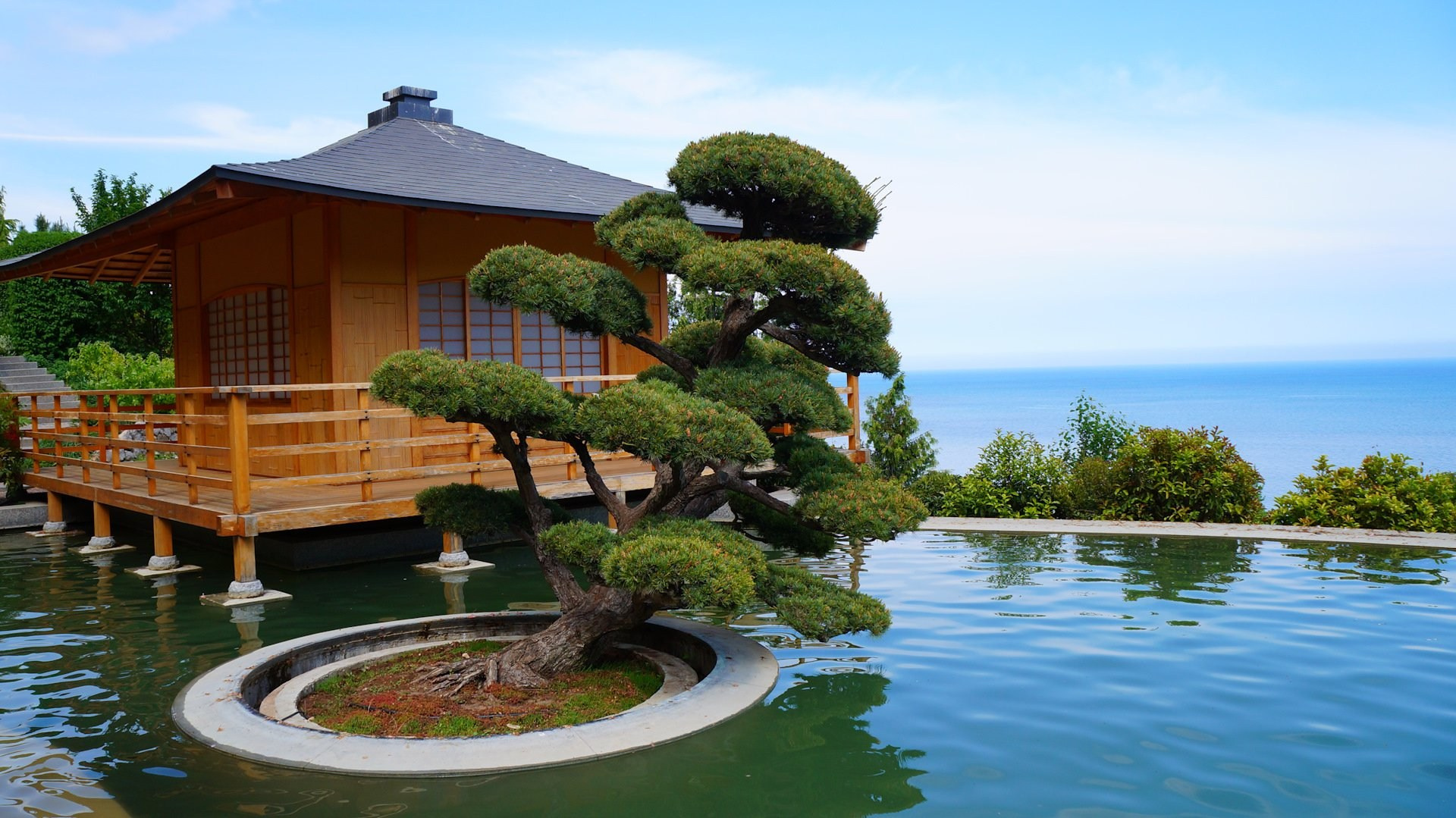 Локации для фотосессий в Крыму. Фотограф, фотосессии «Всё включено» в Москве и Московской области