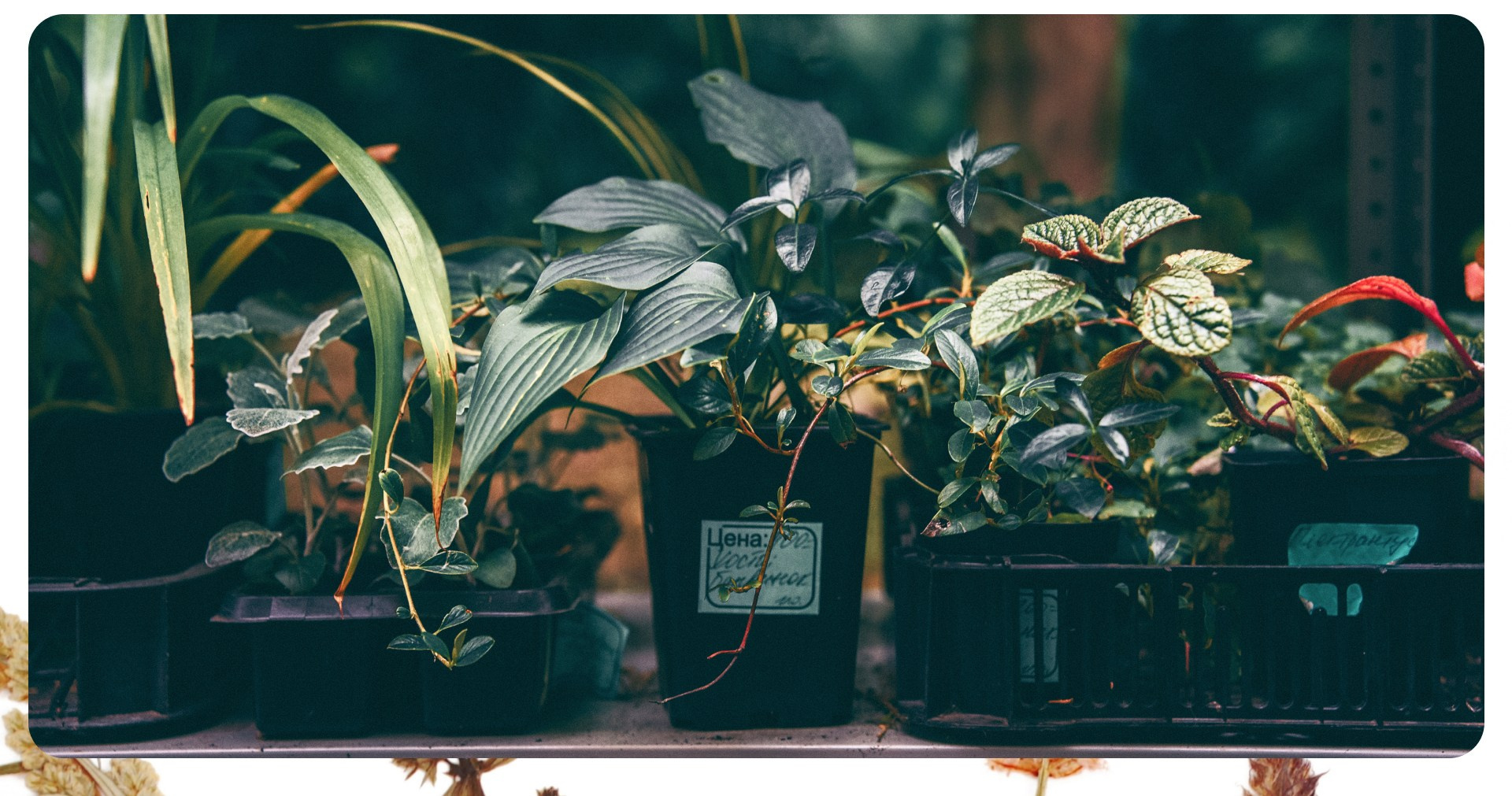 Калининград 3. Фотограф из Москвы — DASHA NOVA | Авторская фотография в разных жанрах