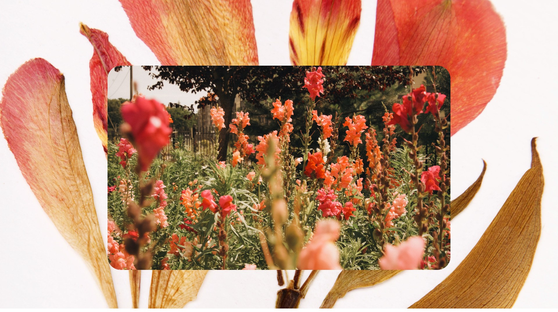 Калининград 1. Фотограф из Москвы — DASHA NOVA | Авторская фотография в разных жанрах