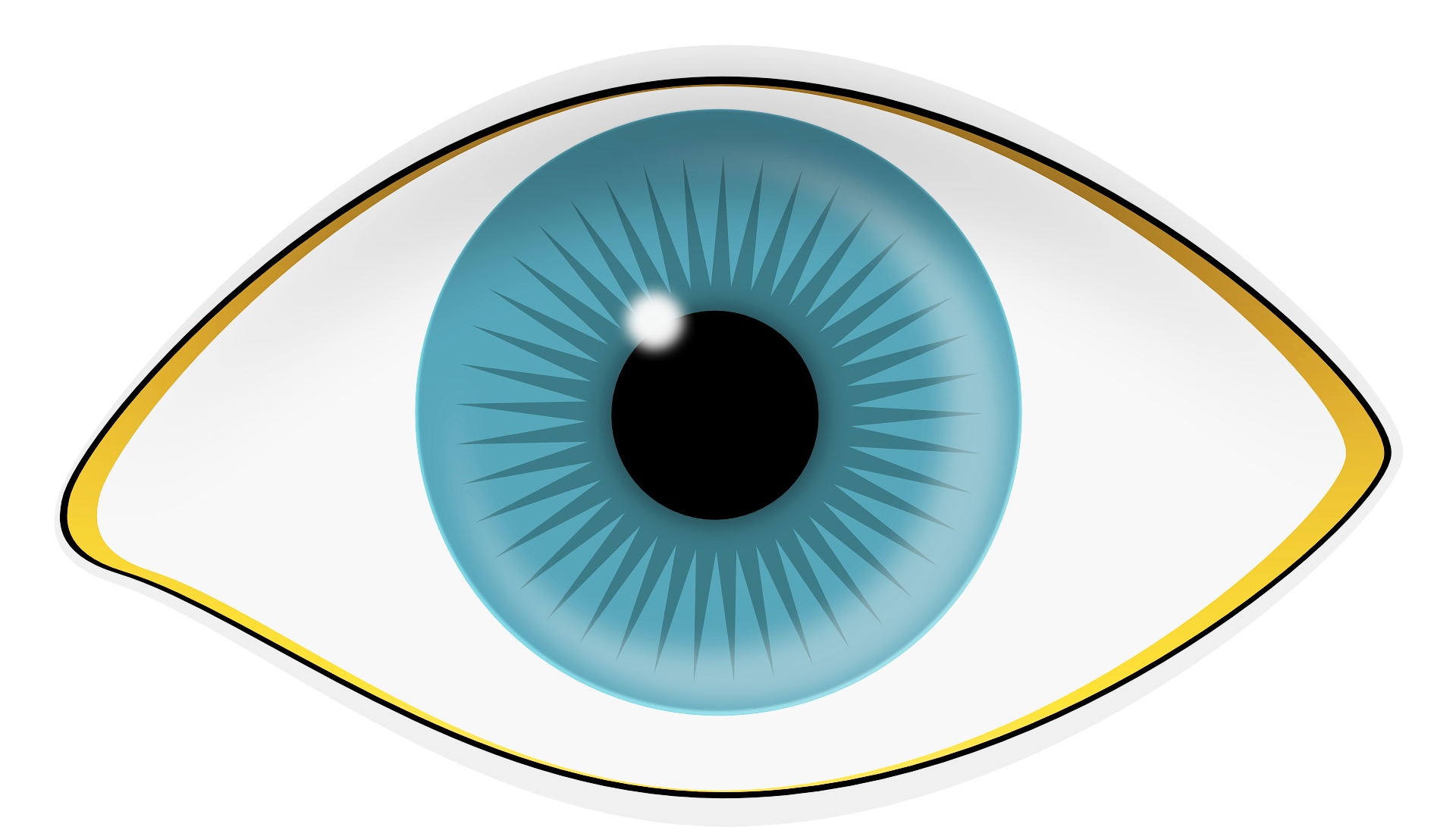 Школа фотографии, курс основы фотографии