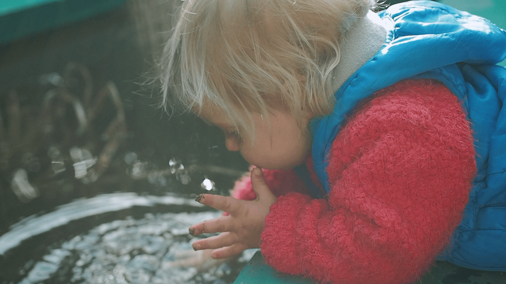 Цены. Семейный и контент-видеограф в Тбилиси Чижикова Наталья