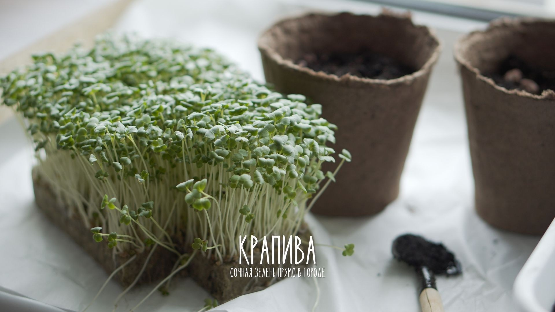 Для вашего бизнеса. Семейный и коммерческий видеограф в Перми Зинченко Татьяна