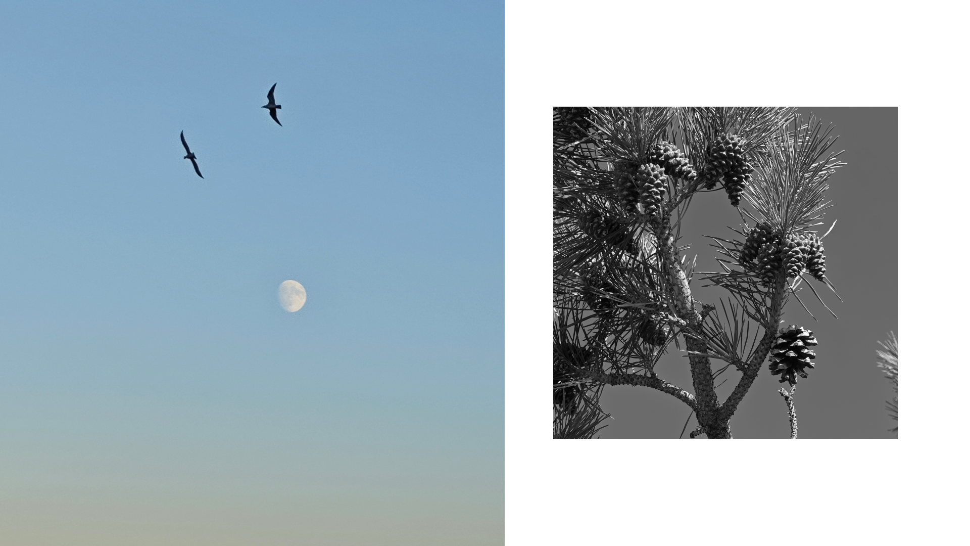 Крым 2025: Глава вторая. Фотограф из Москвы — DASHA NOVA | Авторская фотография в разных жанрах