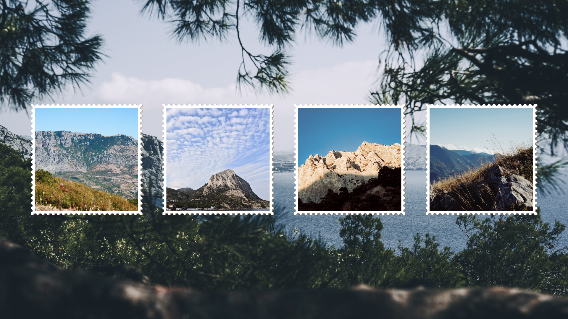 Крым 2025: Глава первая. Фотограф из Москвы — DASHA NOVA | Авторская фотография в разных жанрах