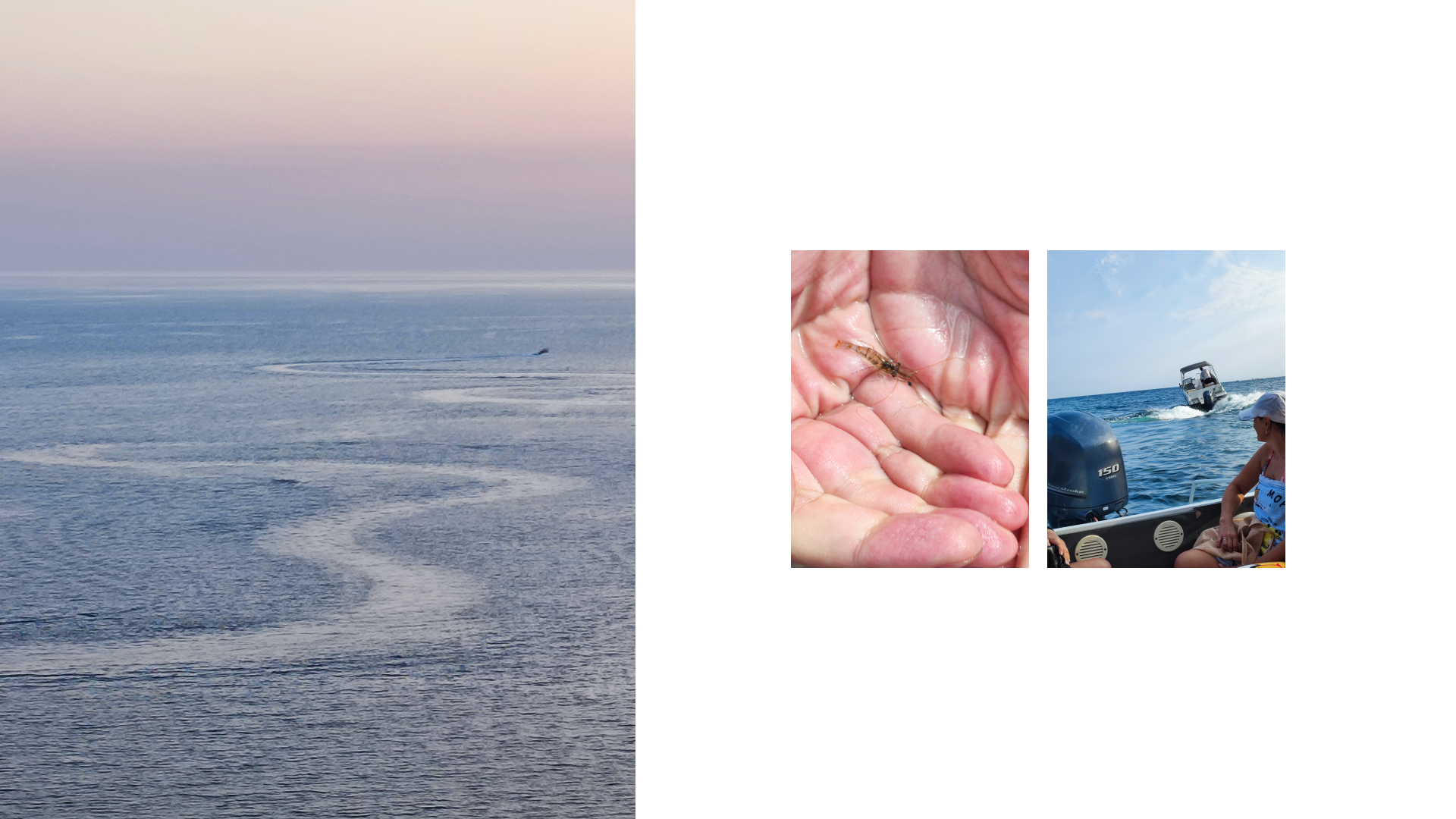 Крым 2025: Глава вторая. Фотограф из Москвы — DASHA NOVA | Авторская фотография в разных жанрах