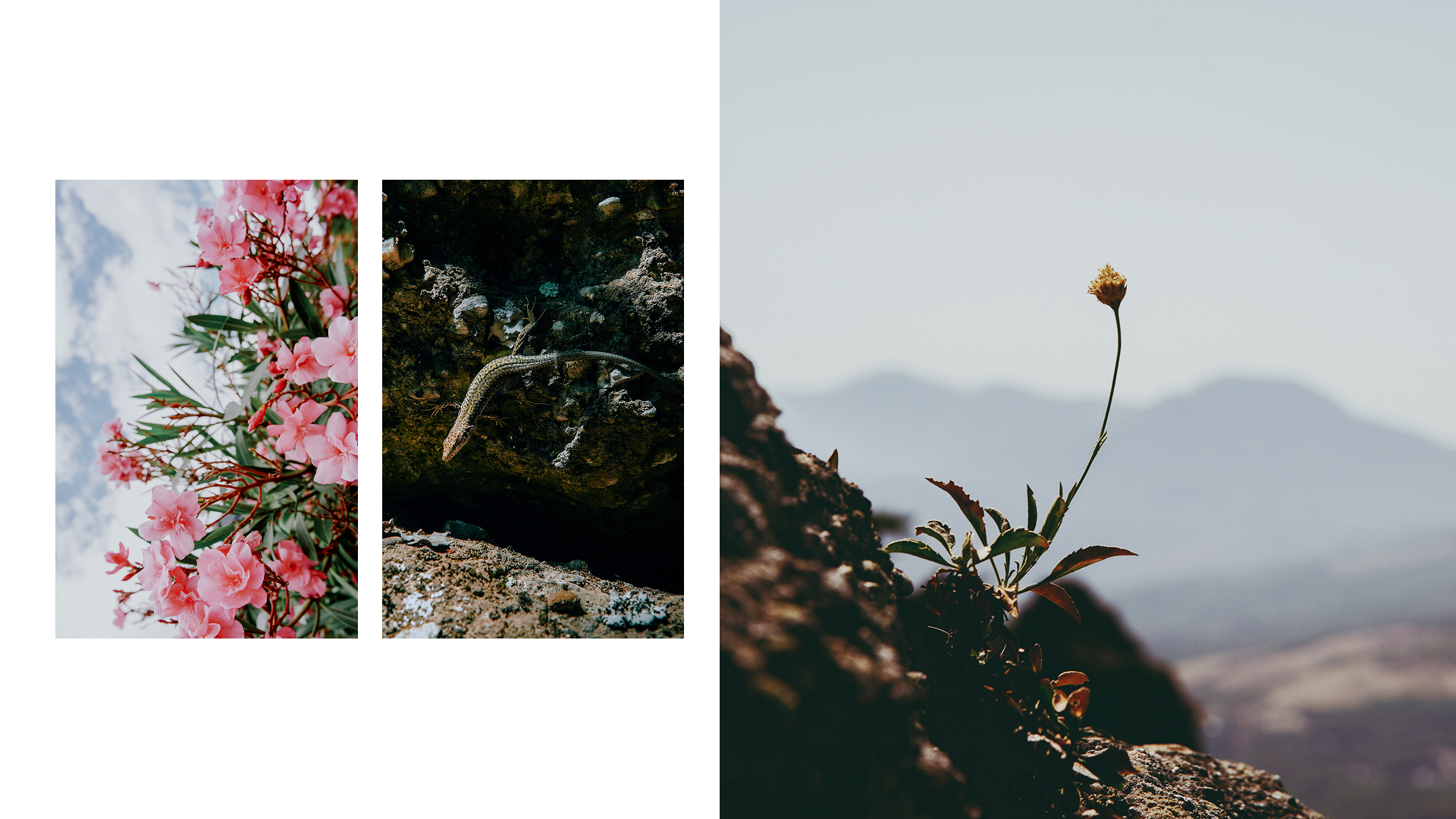 Крым 2025: Глава вторая. Фотограф из Москвы — DASHA NOVA | Авторская фотография в разных жанрах