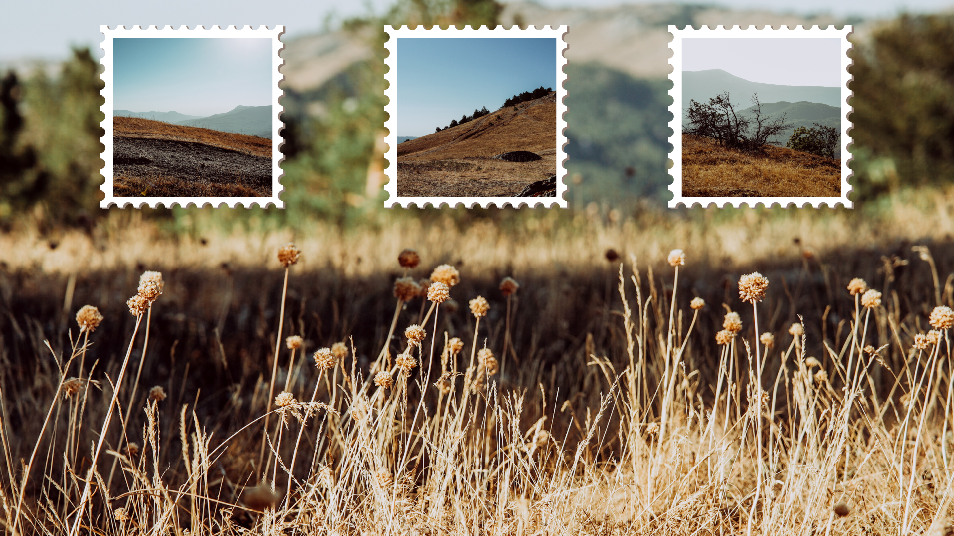 Крым 2025: Глава первая. Фотограф из Москвы — DASHA NOVA | Авторская фотография в разных жанрах