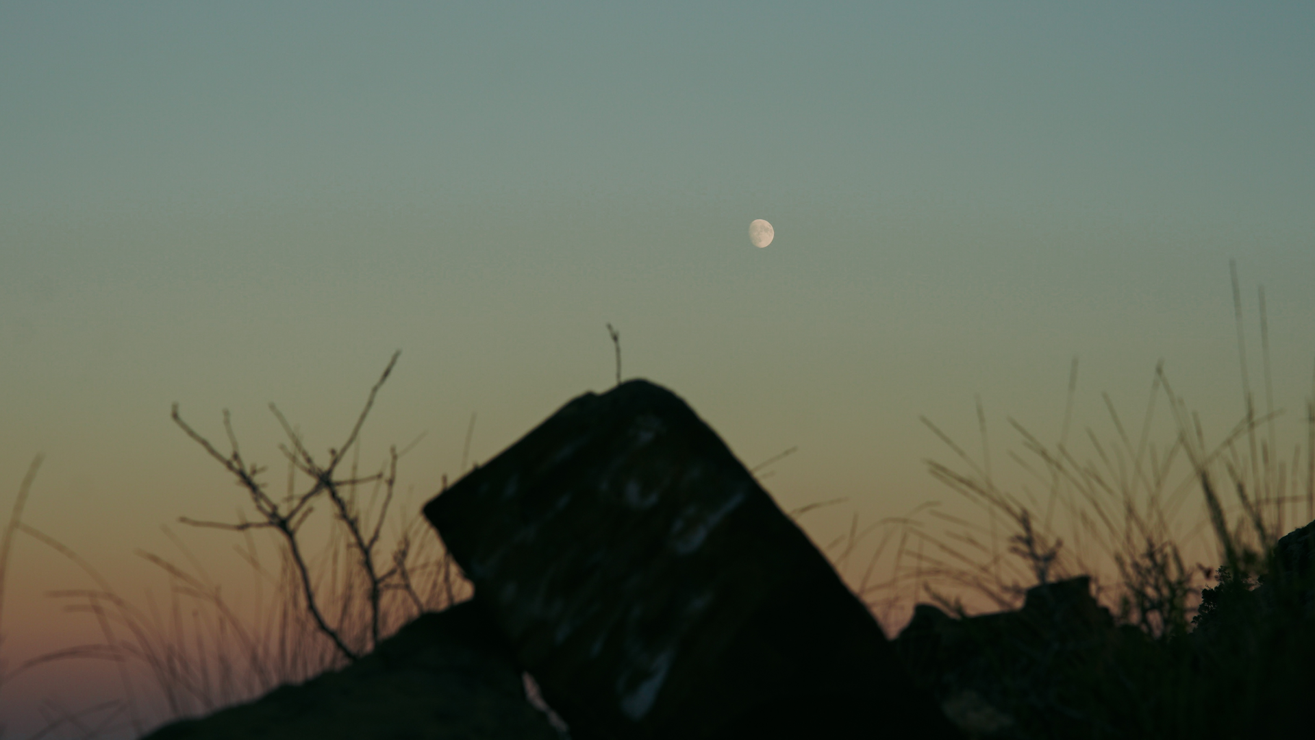 Крым 2025: Глава вторая. Фотограф из Москвы — DASHA NOVA | Авторская фотография в разных жанрах