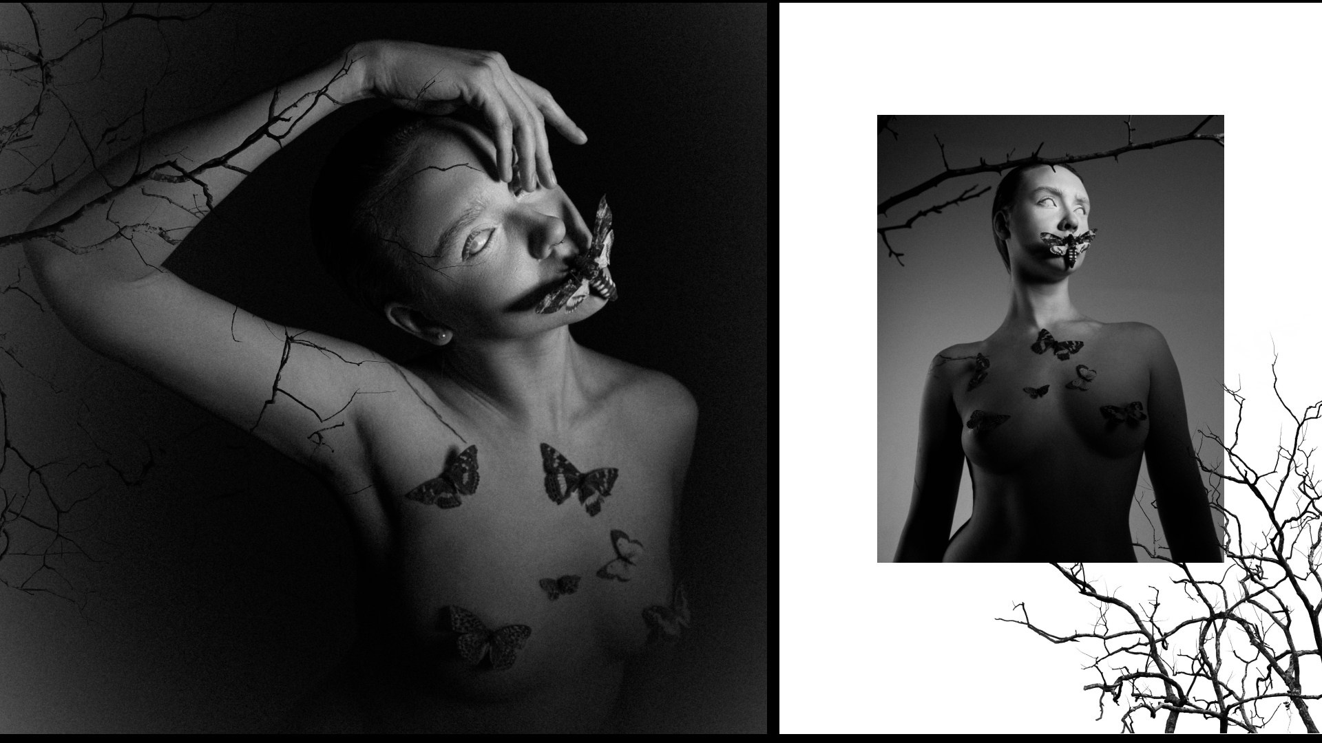 Бабочка. Фотограф из Москвы — DASHA NOVA | Авторская фотография в разных жанрах