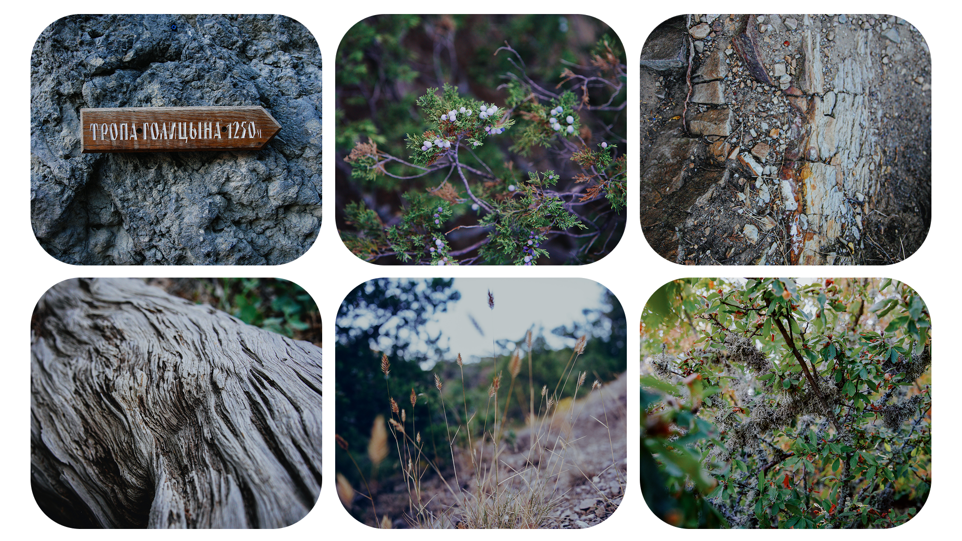 Крым 2025: Глава вторая. Фотограф из Москвы — DASHA NOVA | Авторская фотография в разных жанрах