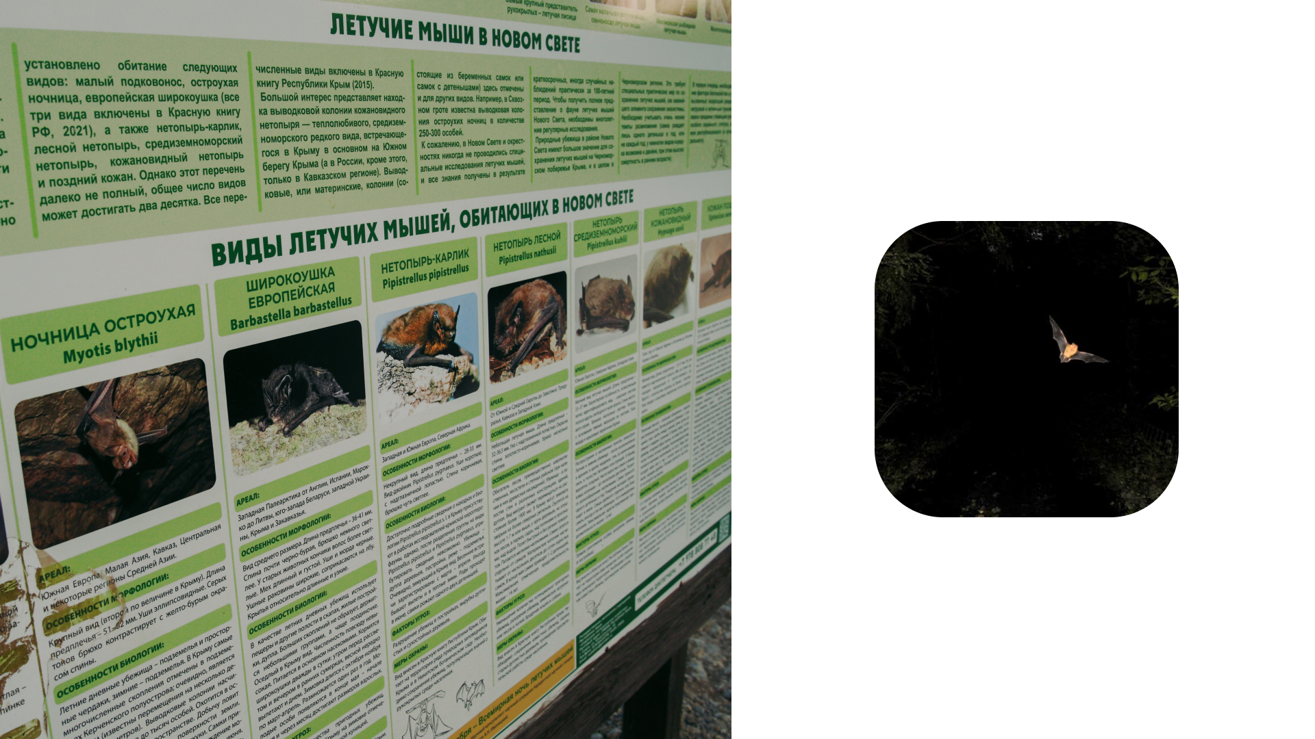 Крым 2025: Глава вторая. Фотограф из Москвы — DASHA NOVA | Авторская фотография в разных жанрах