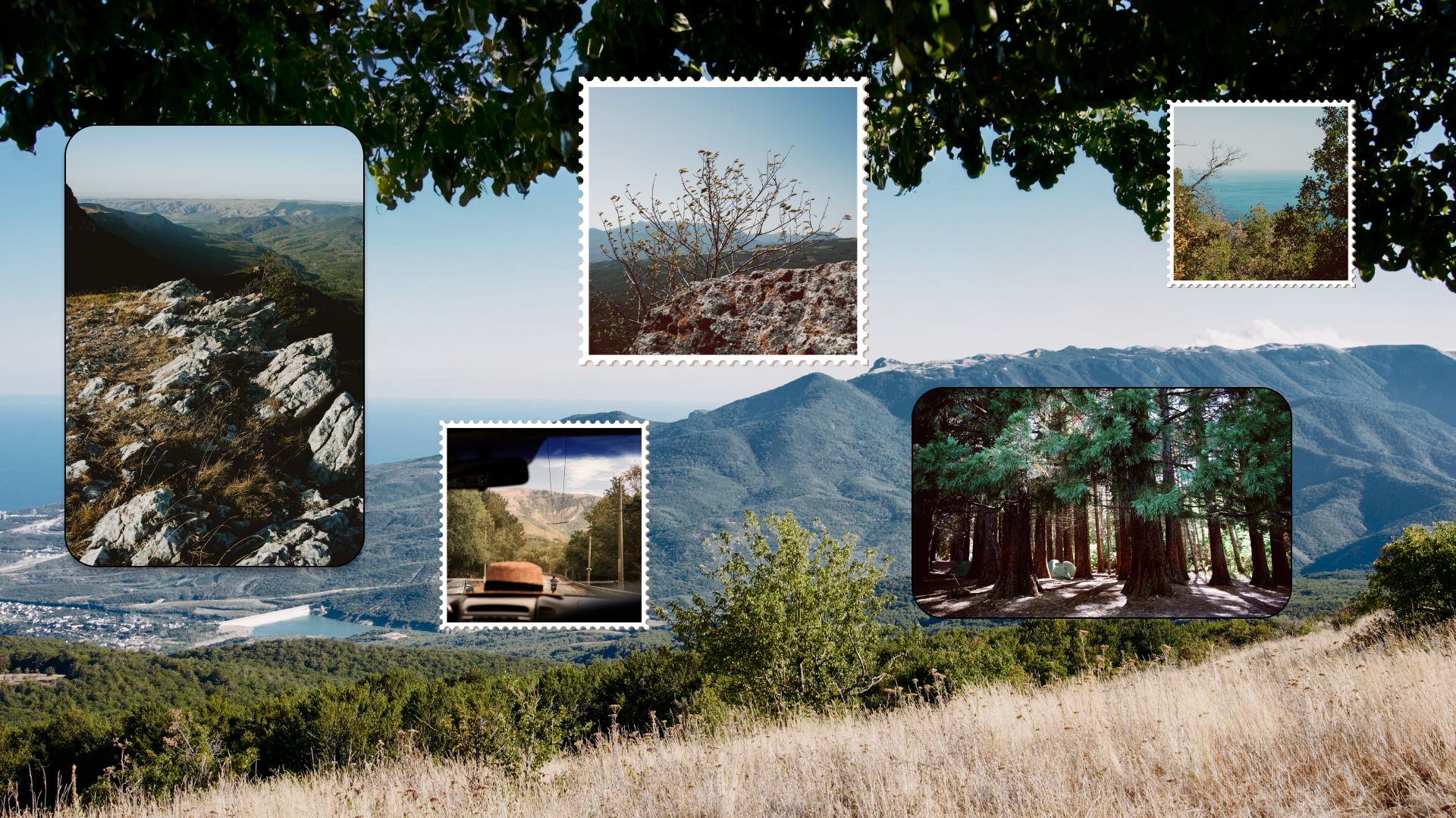 Крым 2025: Глава первая. Фотограф из Москвы — DASHA NOVA | Авторская фотография в разных жанрах