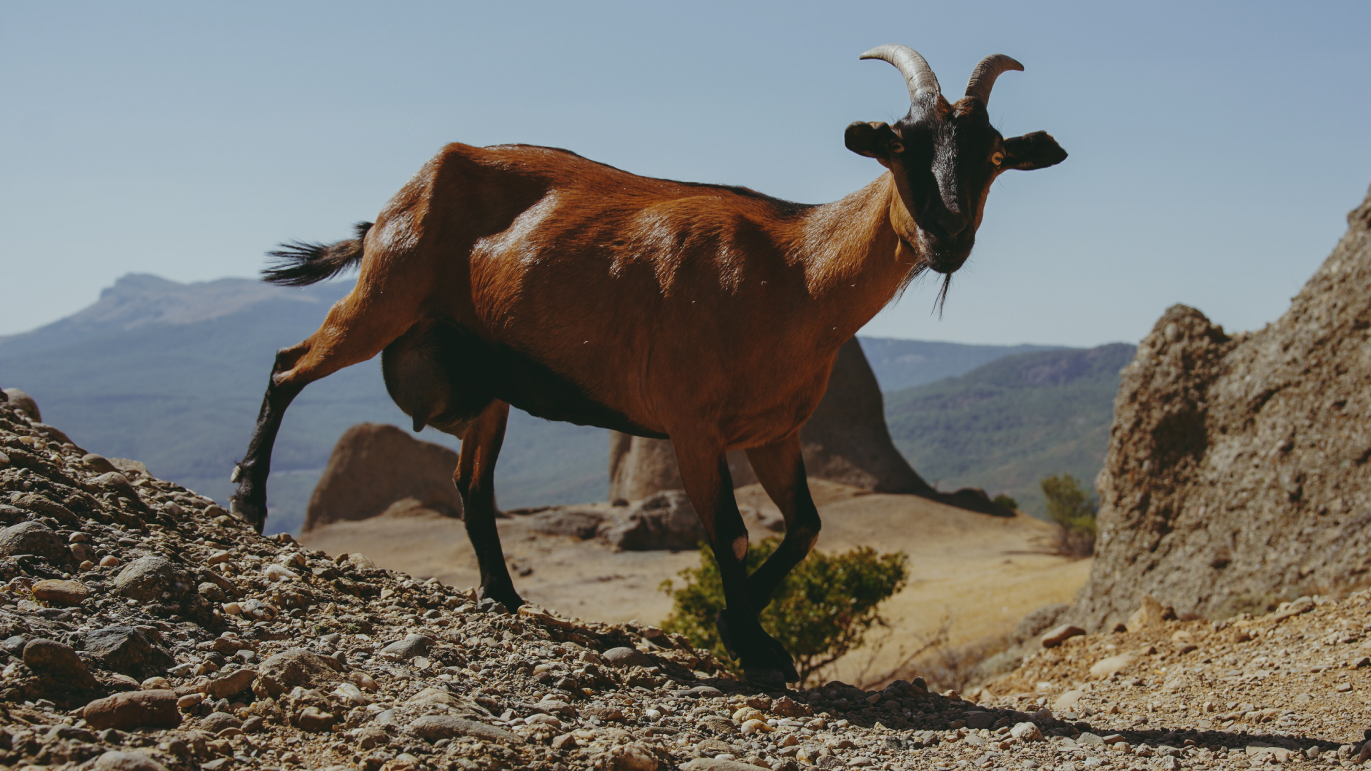 Крым 2025: Глава первая. Фотограф из Москвы — DASHA NOVA | Авторская фотография в разных жанрах