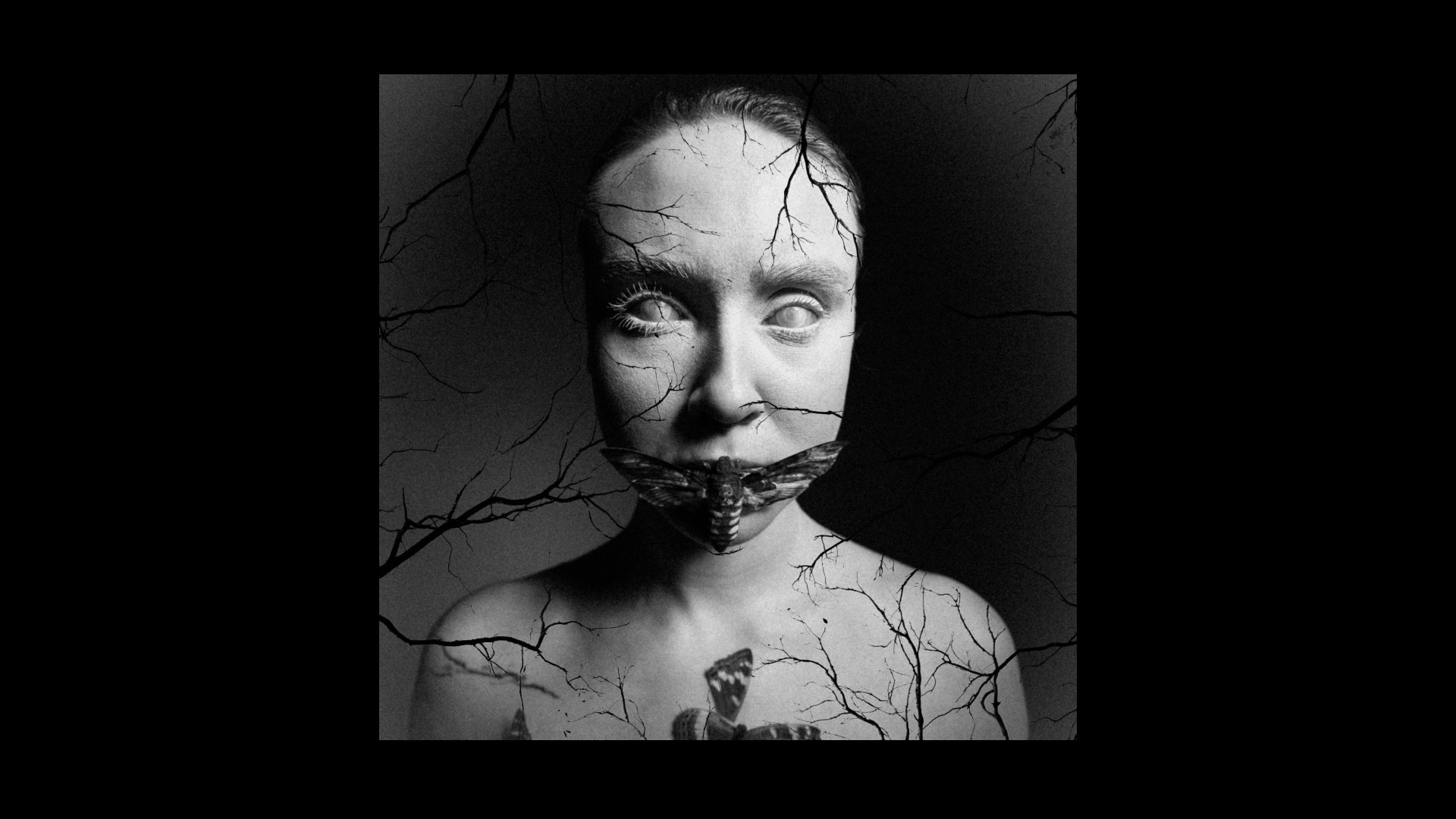 Бабочка. Фотограф из Москвы — DASHA NOVA | Авторская фотография в разных жанрах