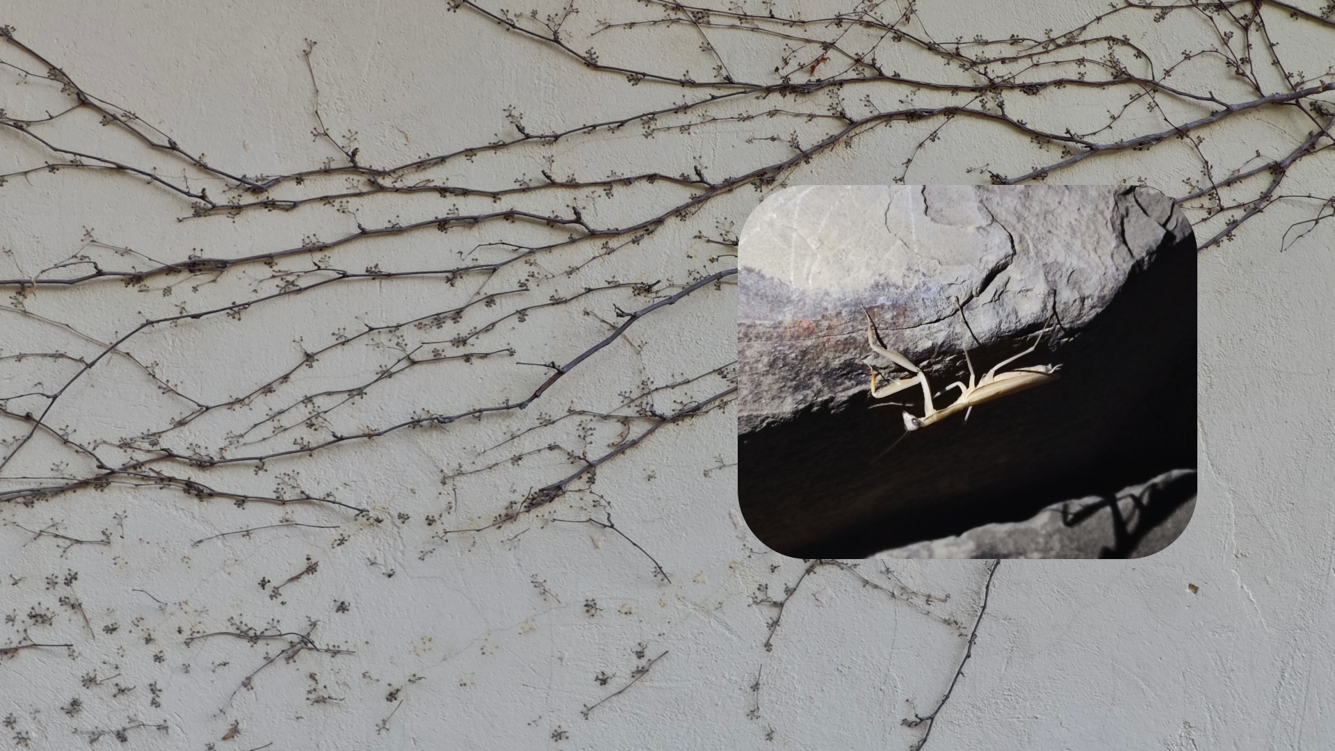 Крым 2025: Глава вторая. Фотограф из Москвы — DASHA NOVA | Авторская фотография в разных жанрах