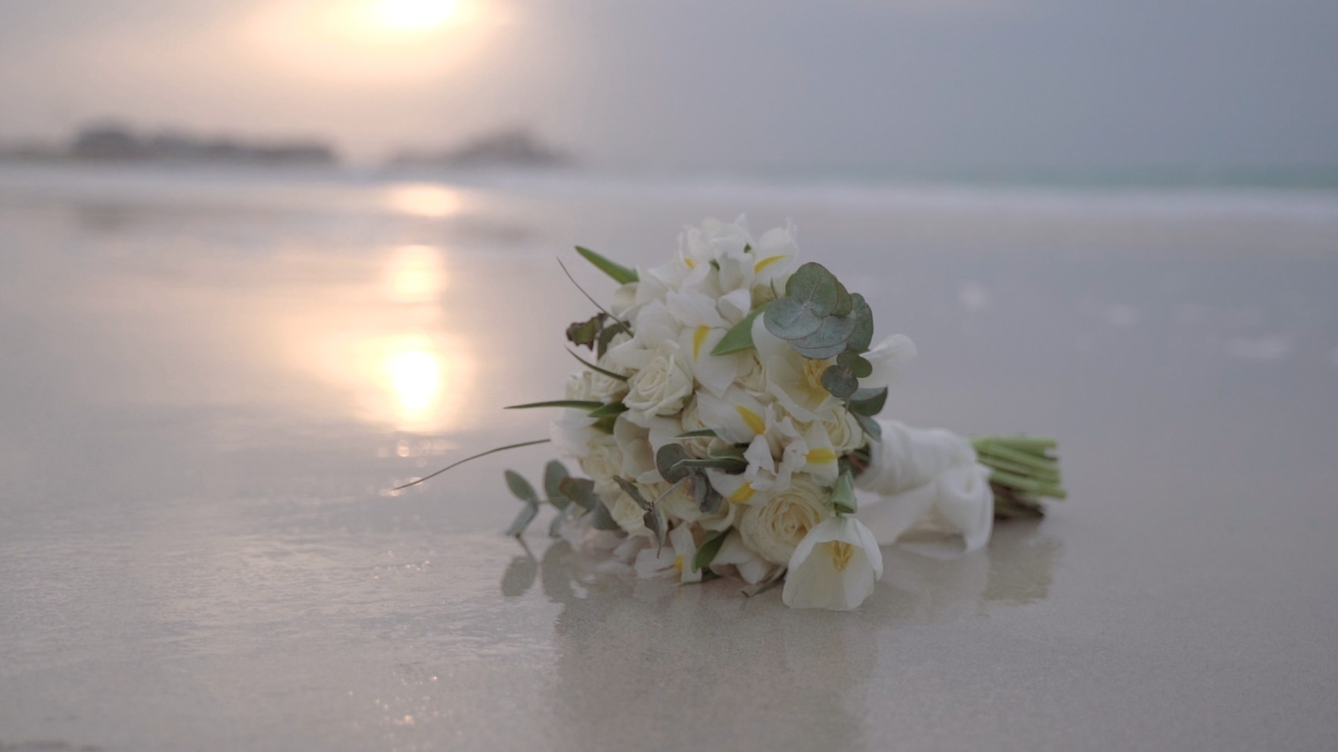 Wedding photographer in Abu Dhabi