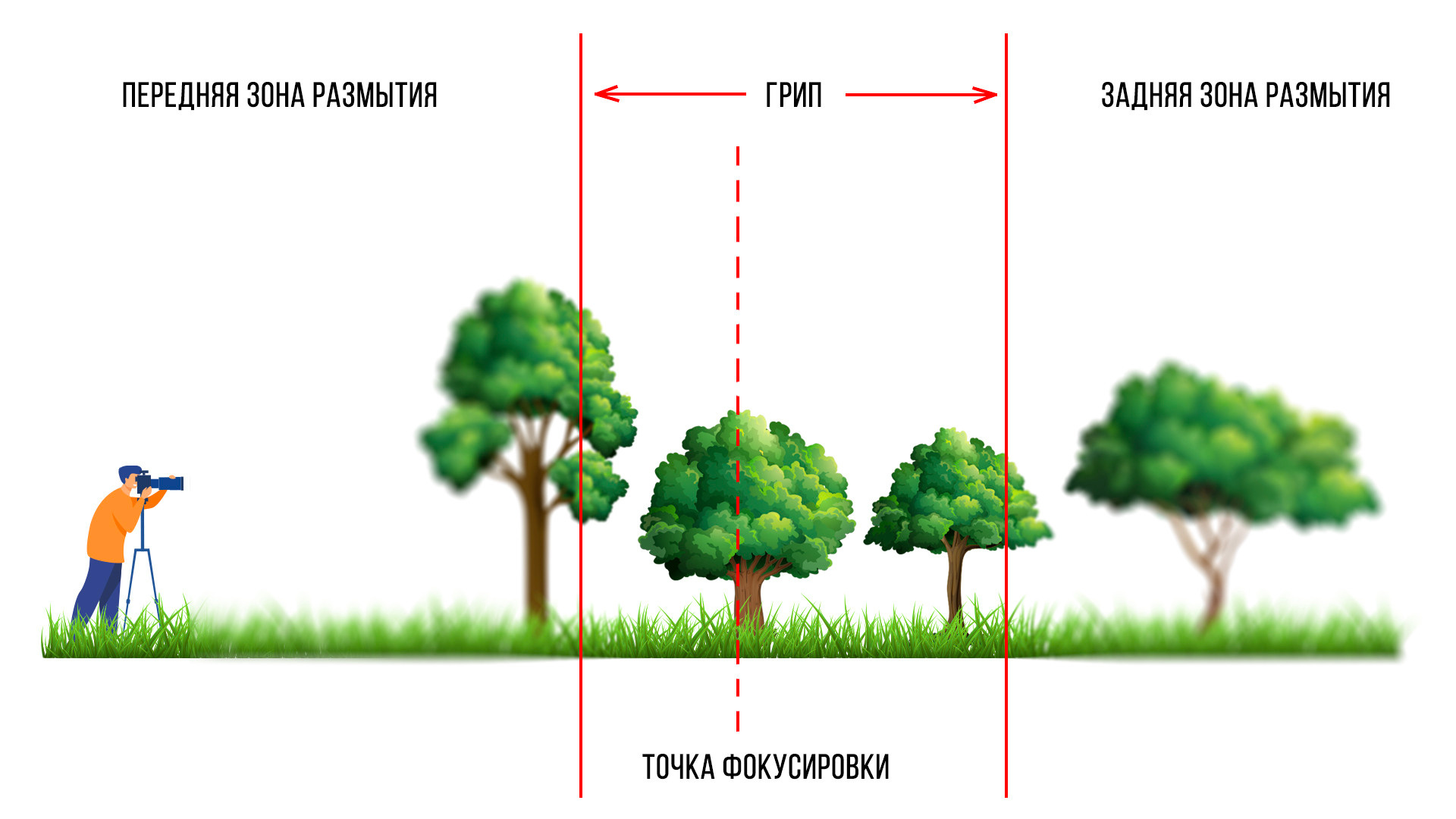 Автоматический стекинг по фокусу в камере. Фотограф Константин Шамин