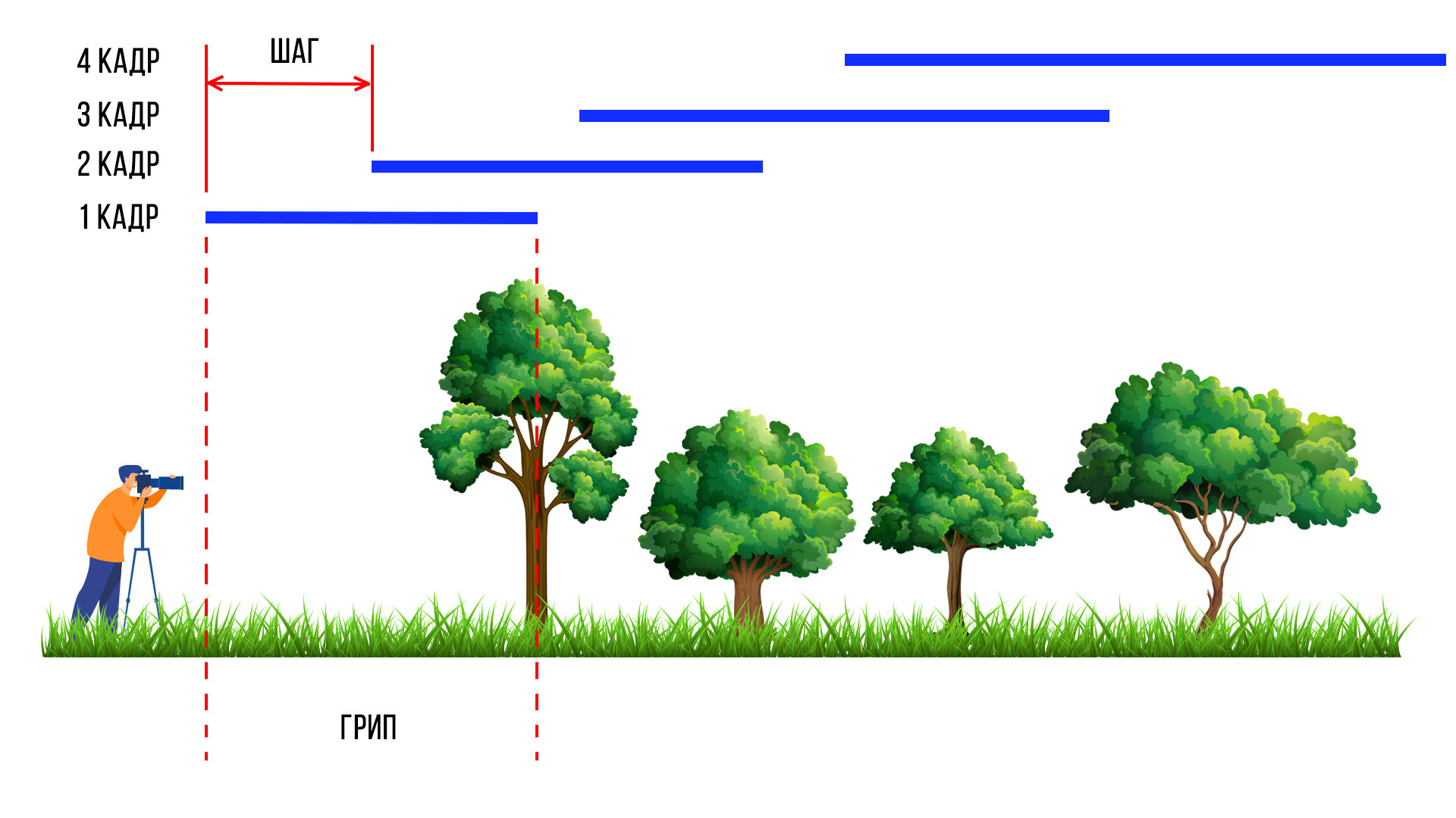 Автоматический стекинг по фокусу в камере. Фотограф Константин Шамин