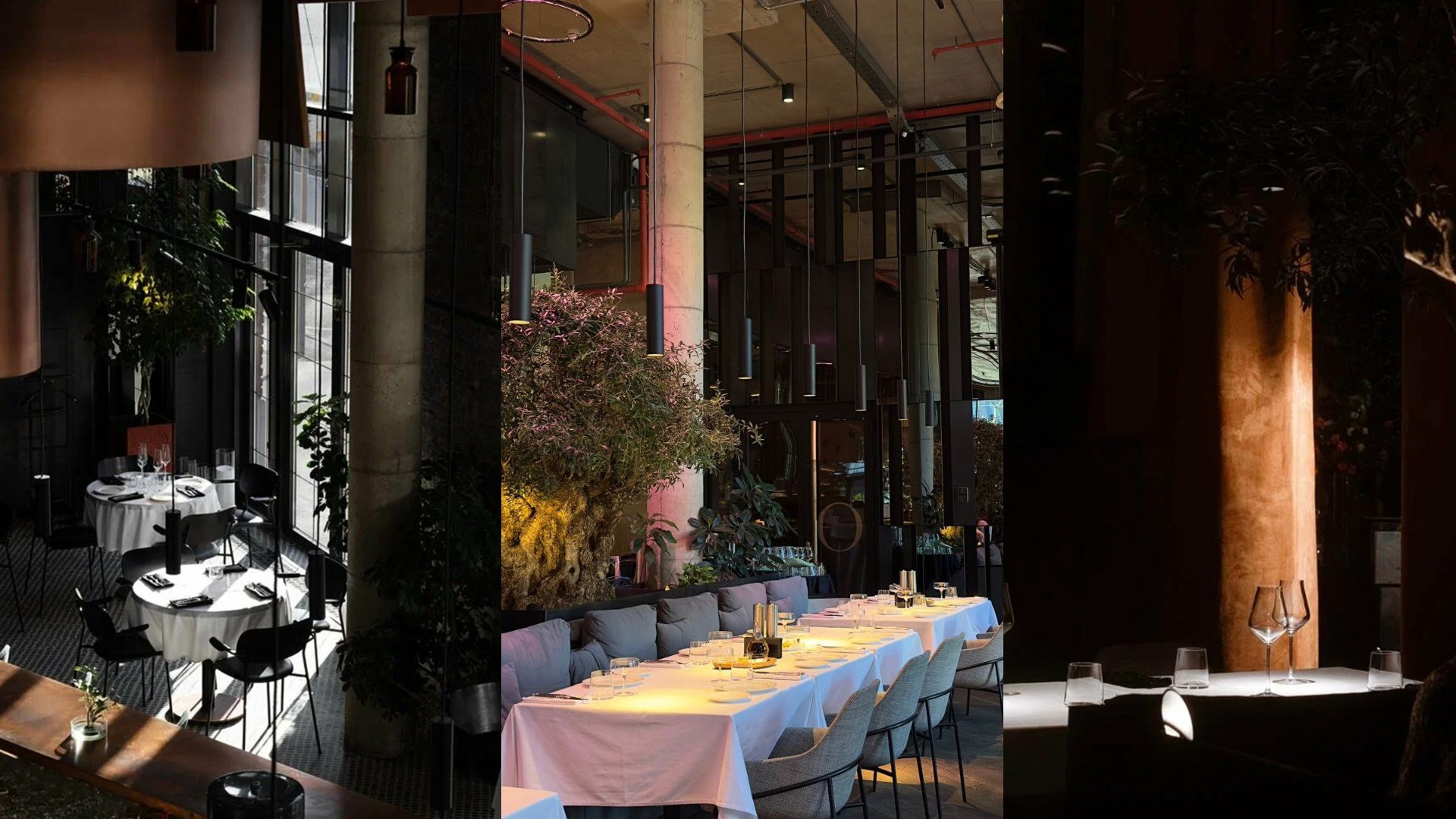 Свадьба Дениса и Юлии