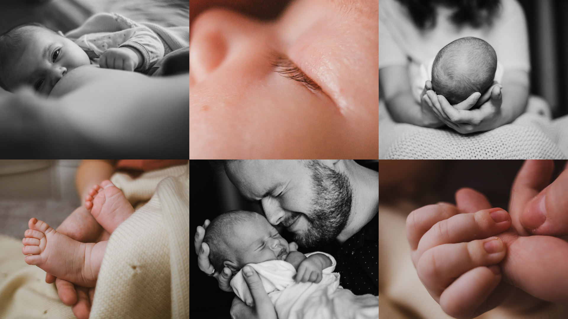 Обучение по фотографии в Нижнем Новгороде. Фотограф и видеограф Елена Лисина