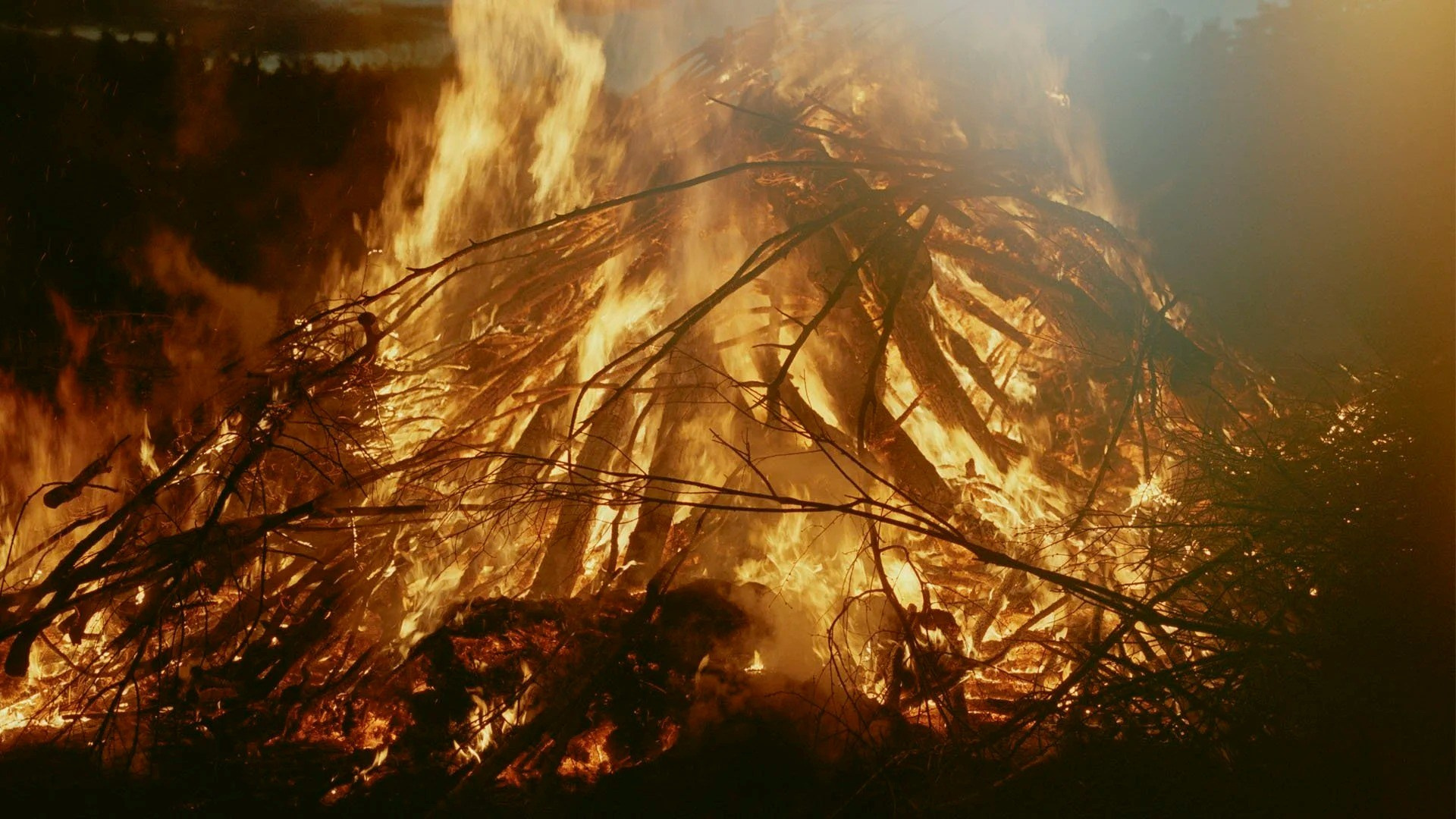 ИНТЕРВЬЮ С АВТОРАМИ: Maja Daniels. Самоорганизация Низина