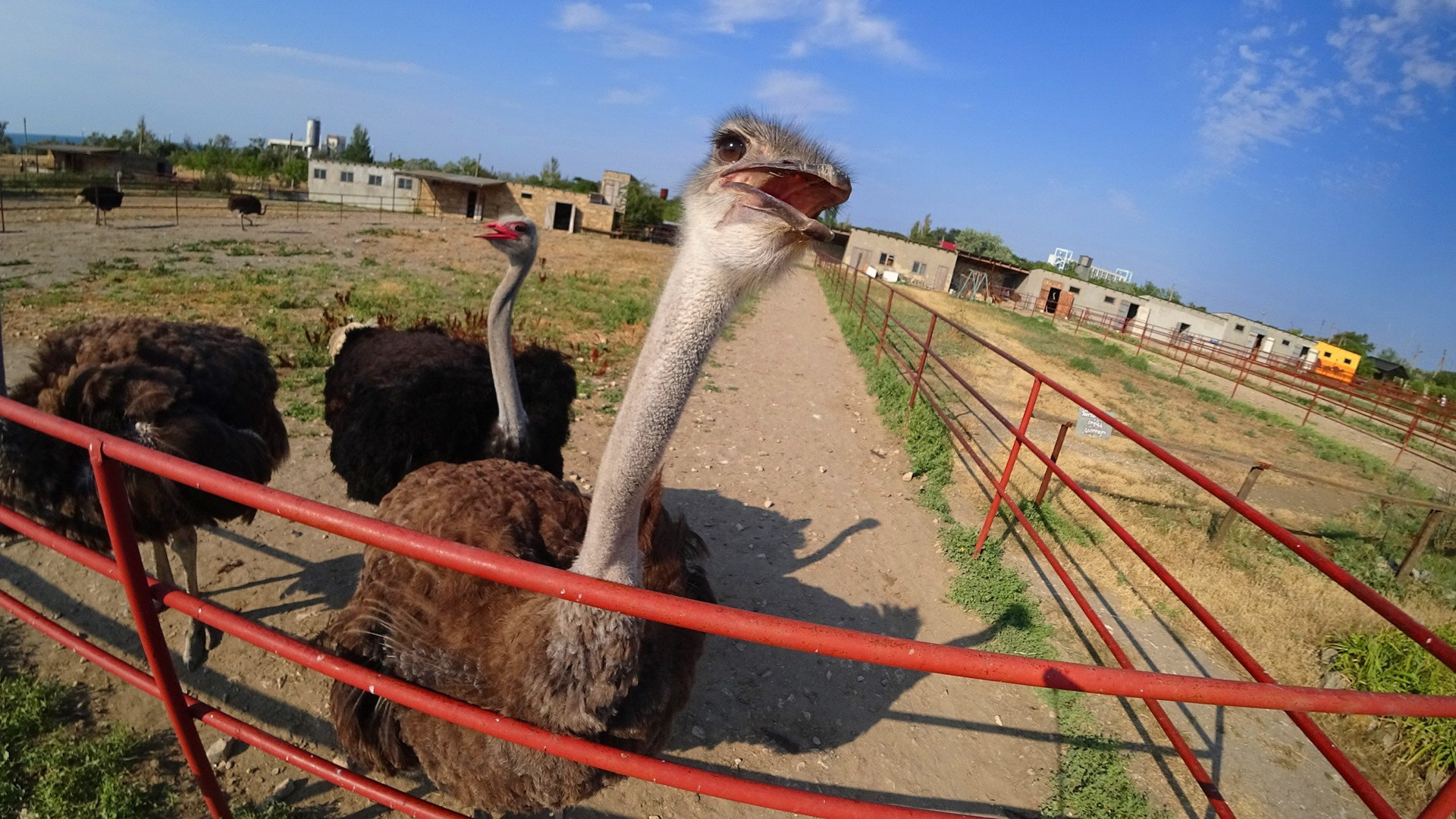 Фототур 17 мая «Джан Кутаран» (Керчь, Феодосия). Профессиональный фотограф в Сочи Артем Соколов (Tim Lokos)