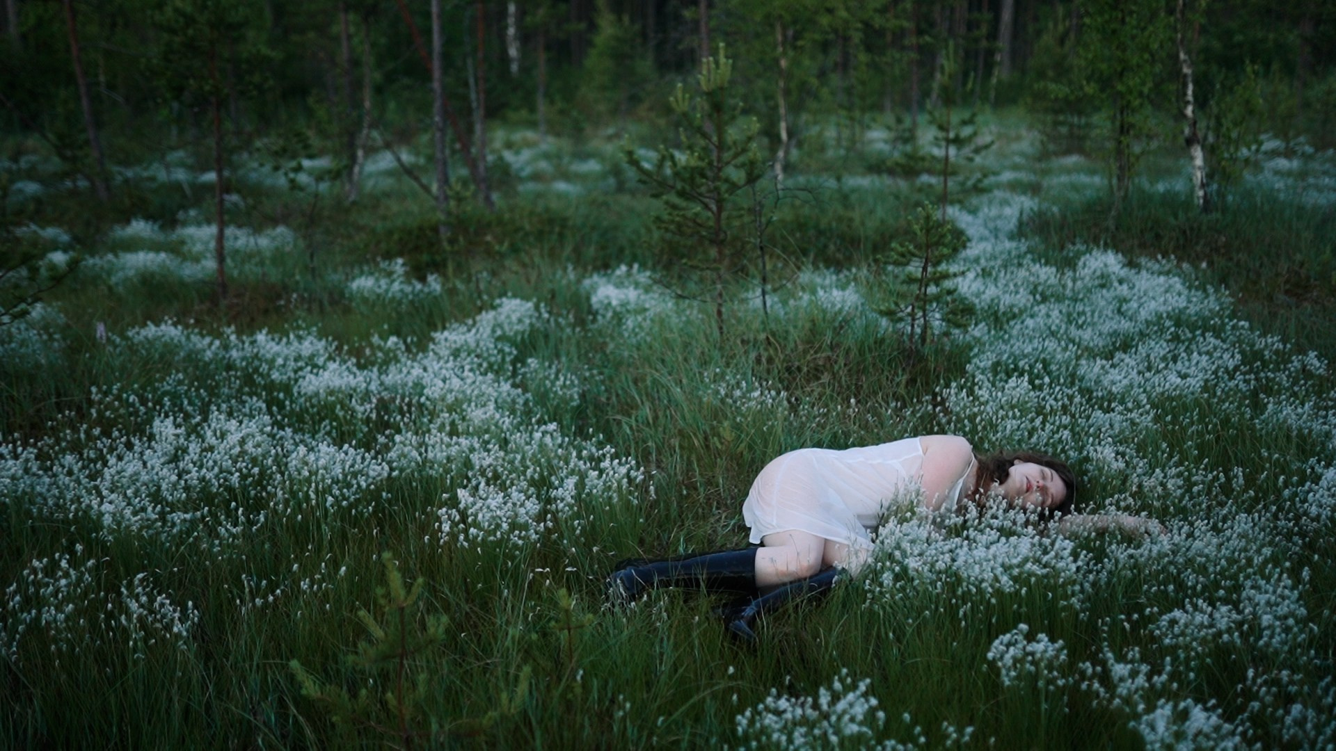 Условия и стоимость. Видеограф в Санкт-Петербурге Анастасия Коок