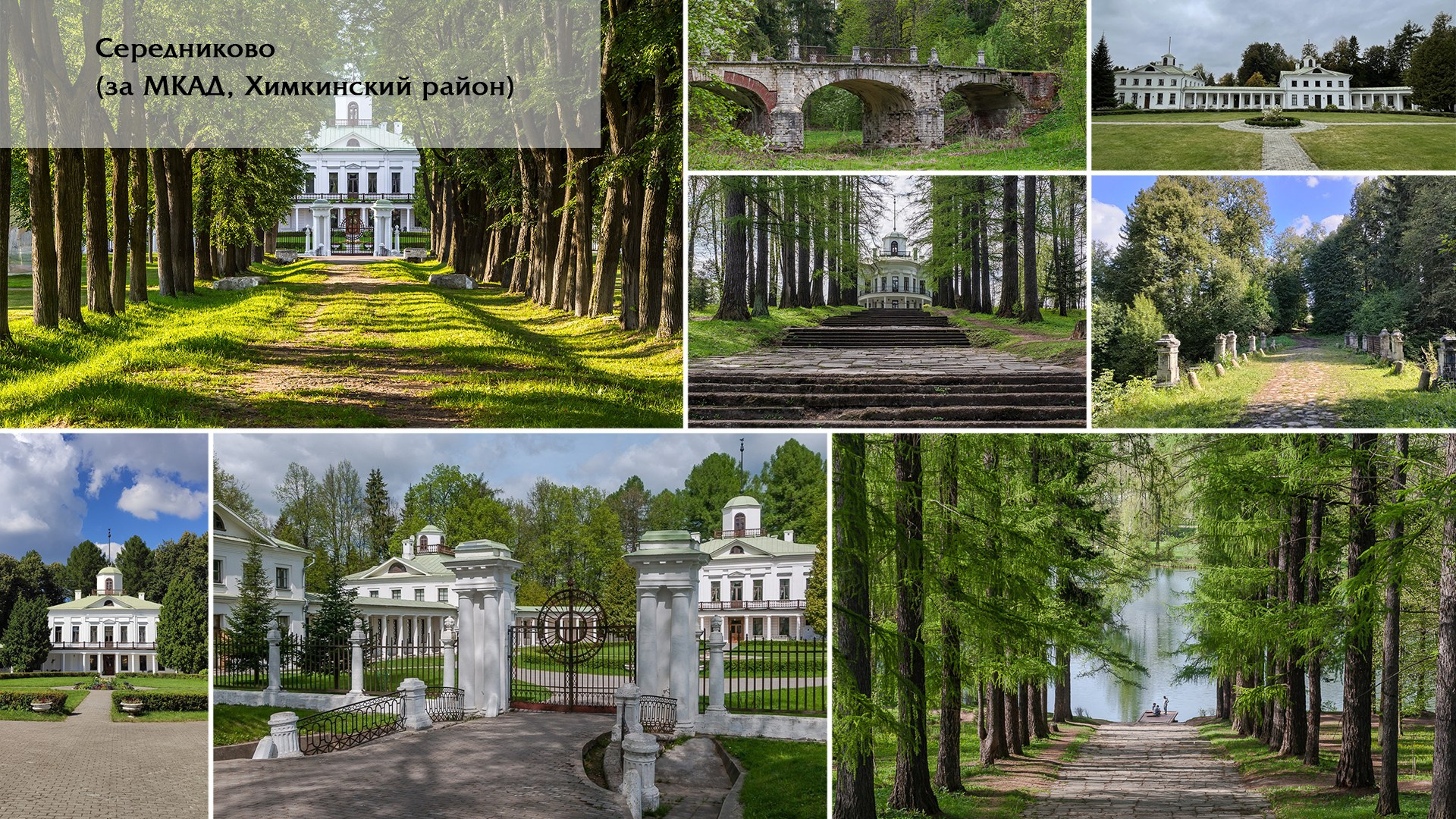 Свадебная фотосессия в Зеленограде: лучшие места для прогулки | Блог свадебного фотографа