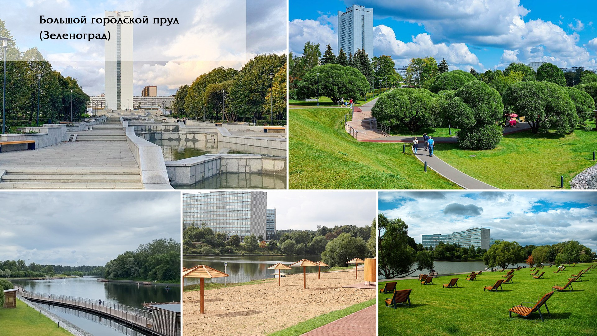 Свадебная фотосессия в Зеленограде: лучшие места для прогулки | Блог свадебного фотографа