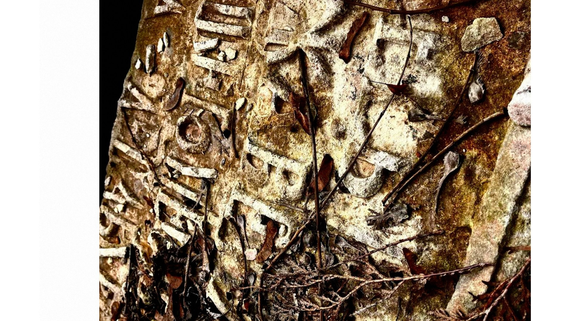 Gold. Mobile photo