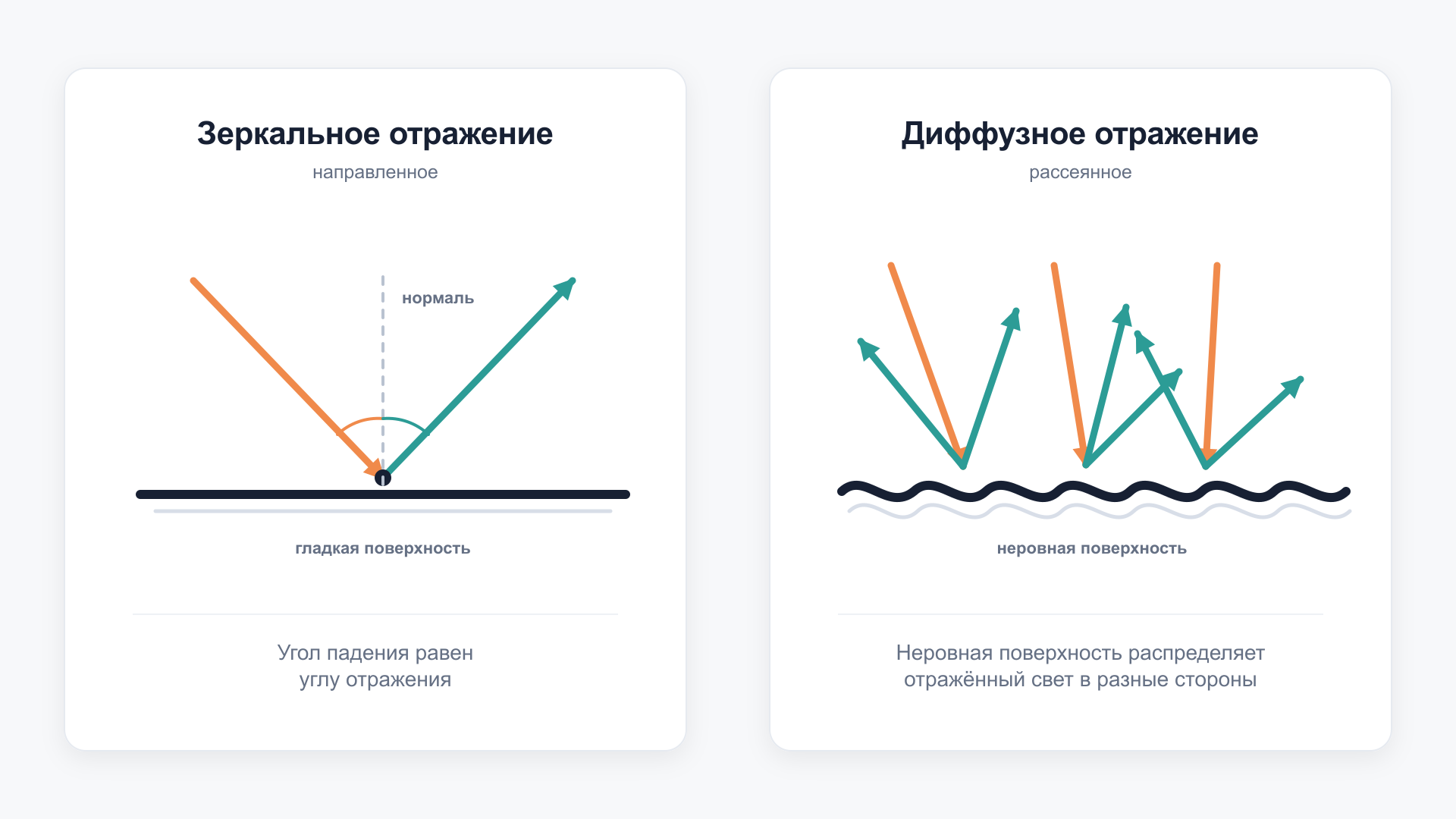 Свет в фотографии: прямой, рассеянный и отражённый свет