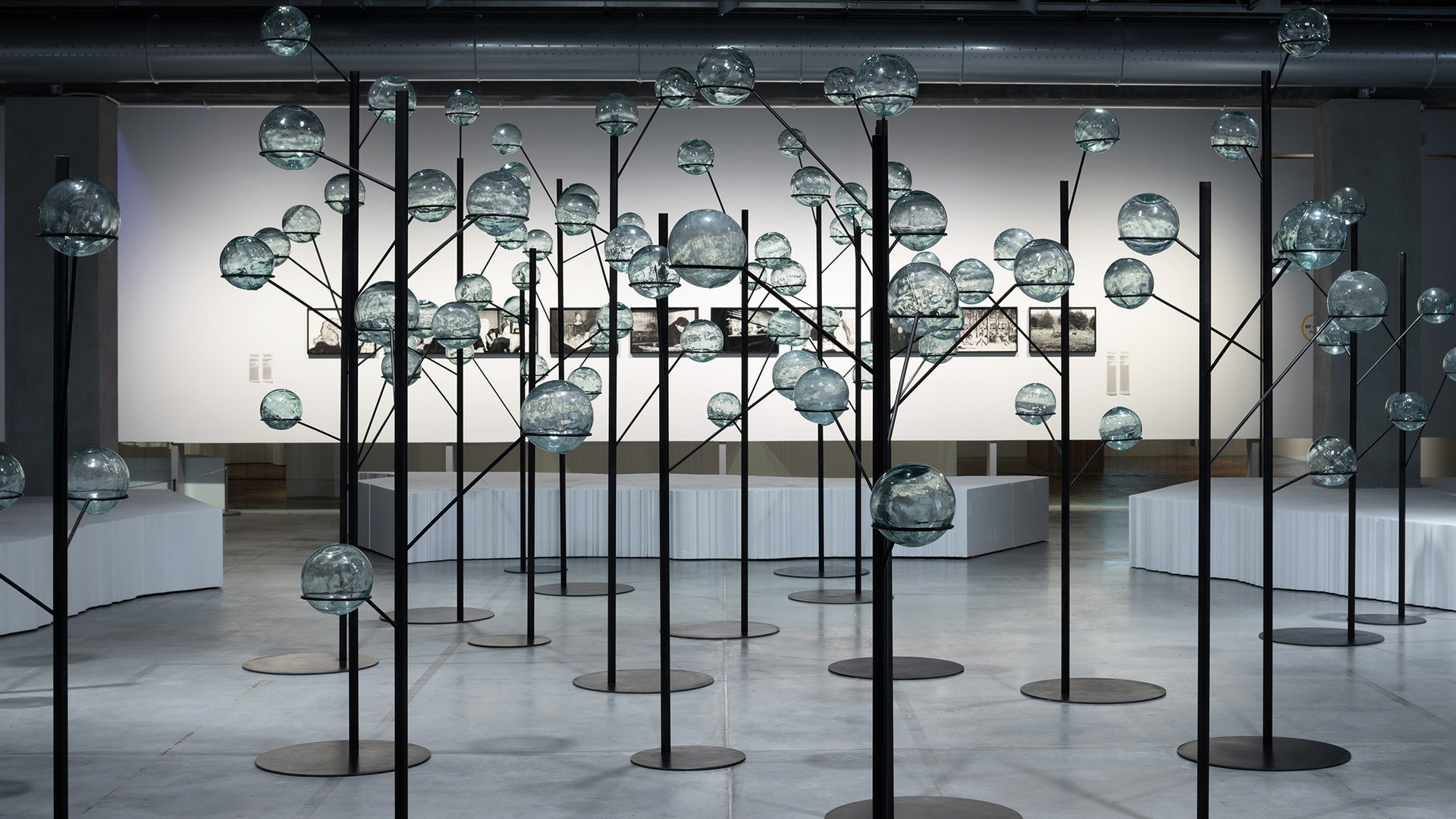 Интервью с Верой Замысловой: ''Надо не подстраиваться, а менять''