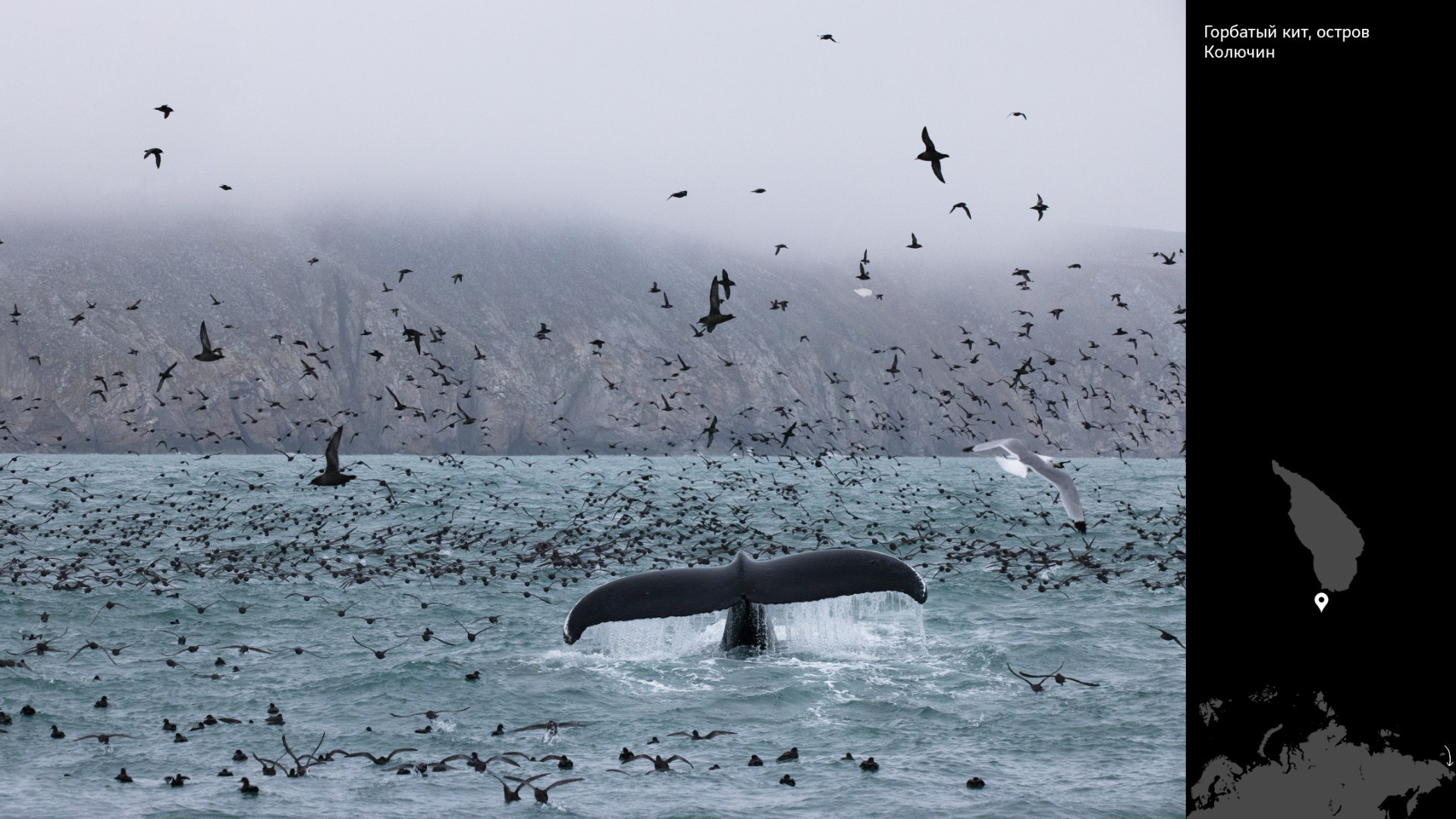 Проект «Архипелаги высоких широт». Петр Ушанов — фотограф