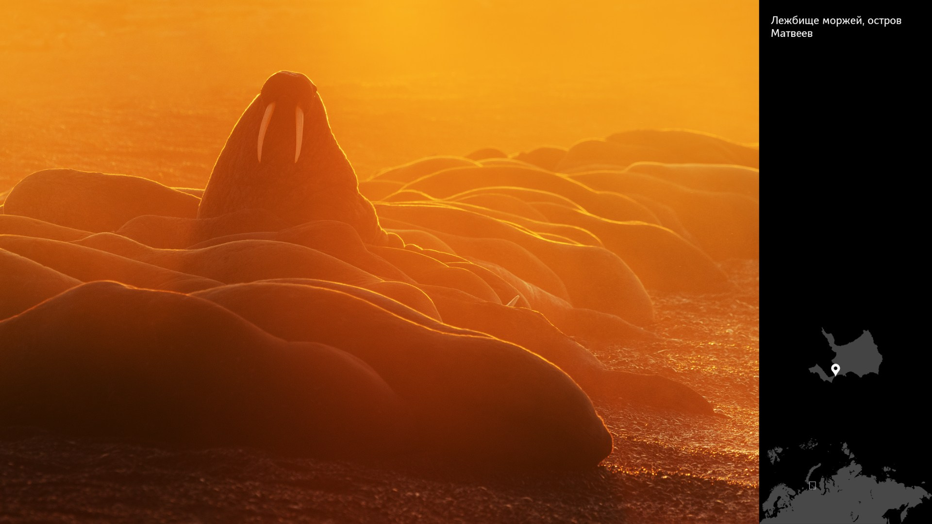 Проект «Архипелаги высоких широт». Петр Ушанов — фотограф